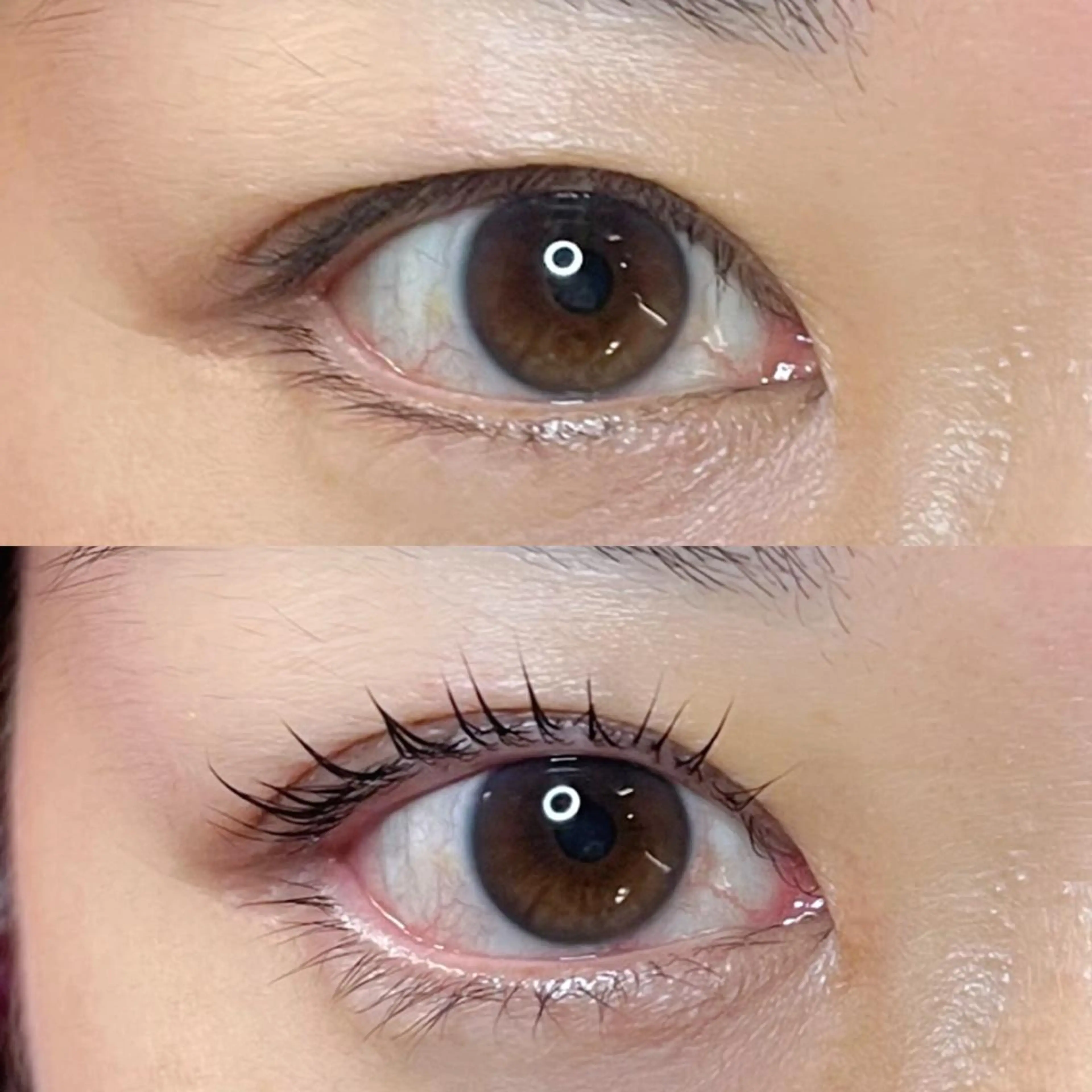 マツエク・マツパ 一重×まつ毛パーマ マツパ seReno eyebrow&eyelash目黒本店所属・seReno KOHAKUの眉毛・アイブロウイメージ