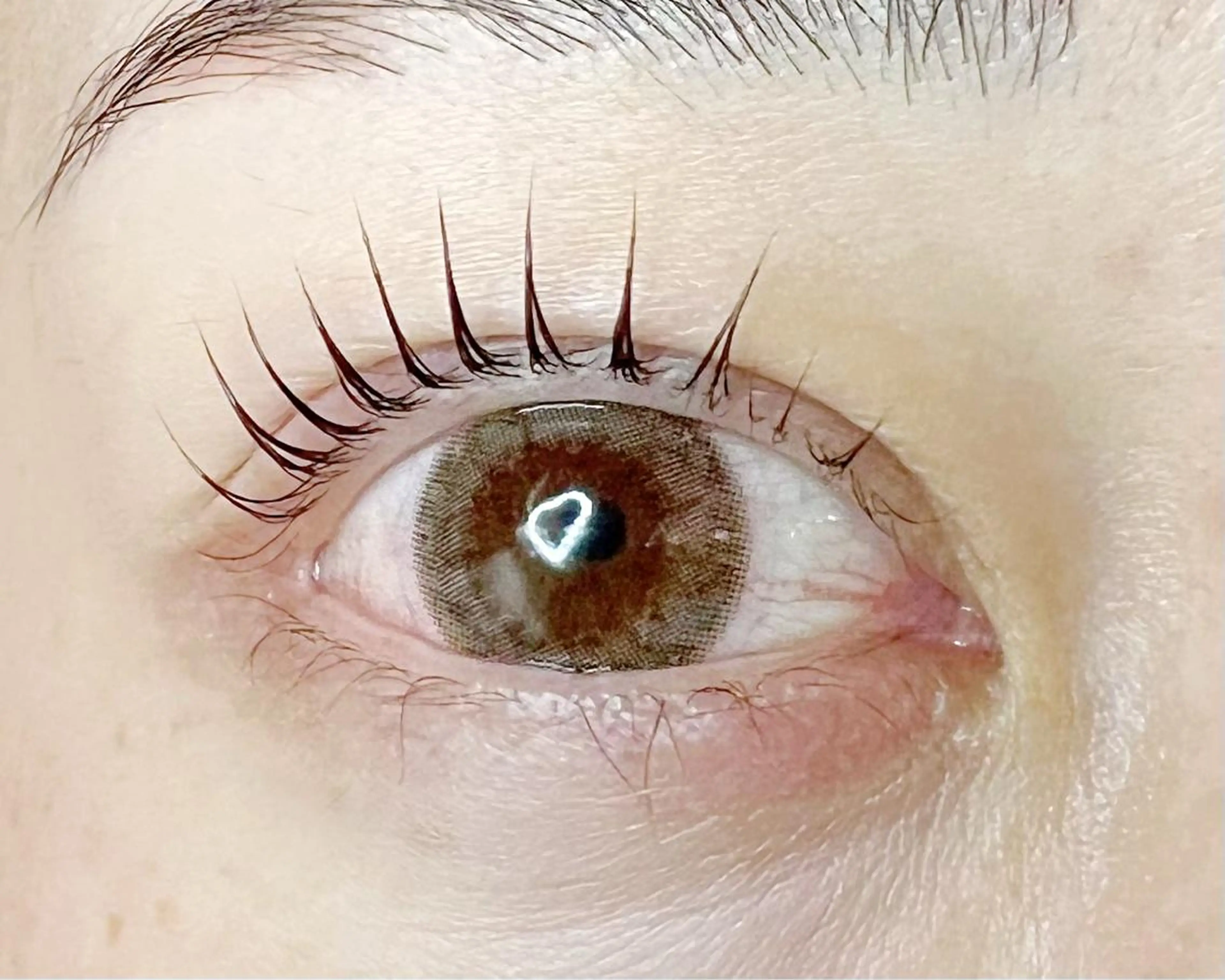 マツエク・マツパ パリジェンヌラッシュリフト Celeste Venus所属・🧸Celeste Venusのマツエク・マツパデザイン