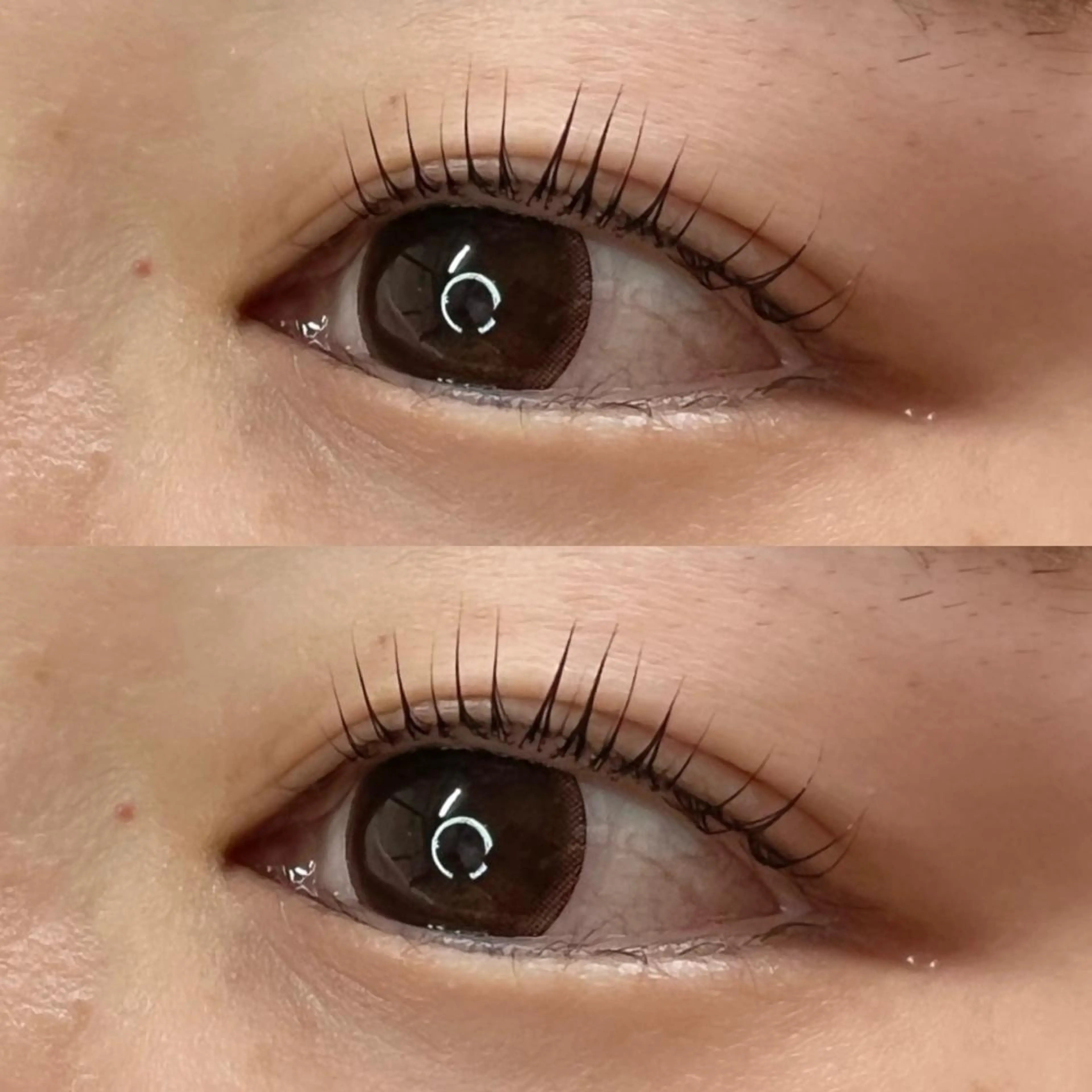 マツエク・マツパ Madonna Lilyのマツエク・マツパデザイン