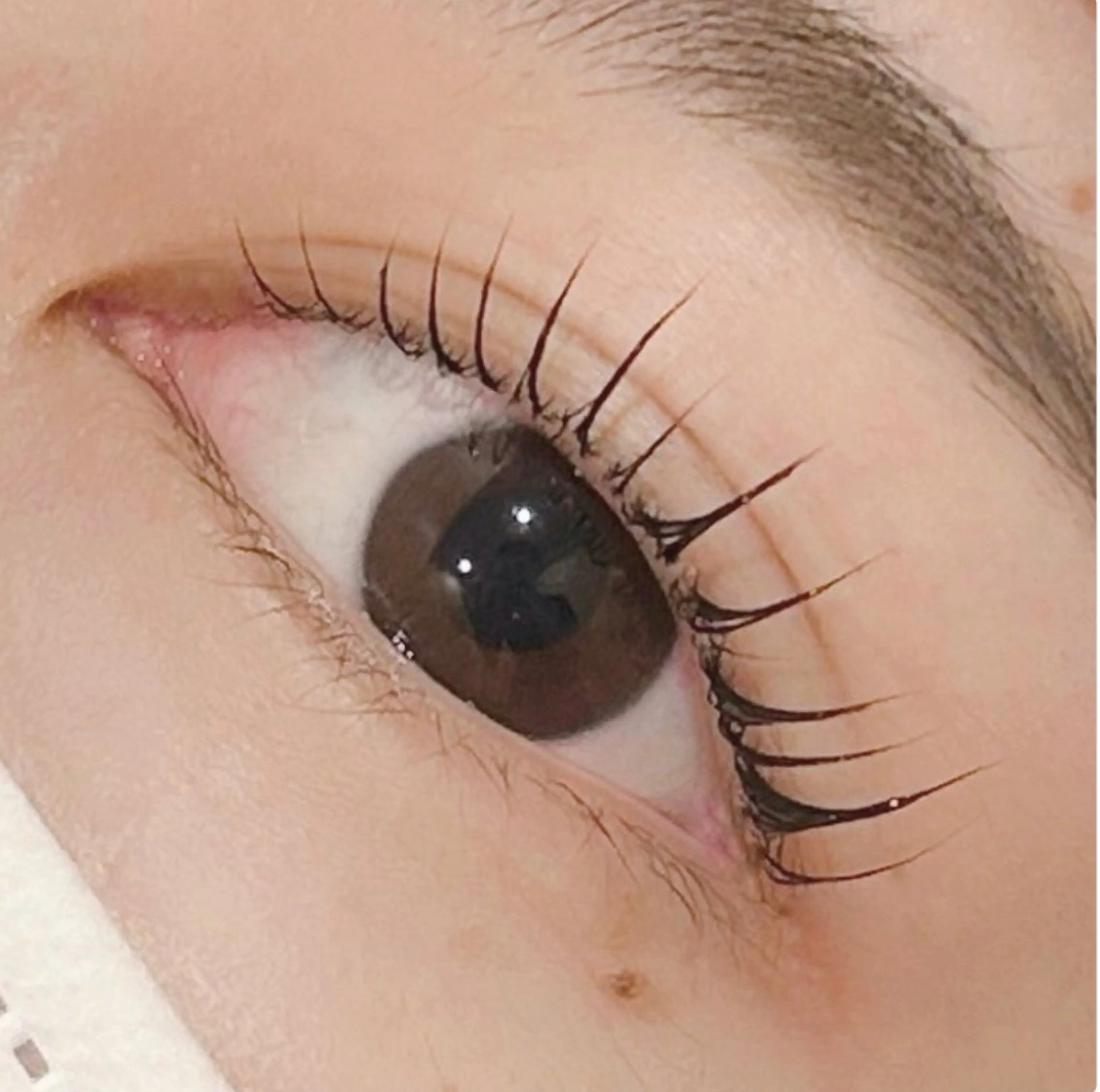 マツエク・マツパ pono大宮東口店 HARUKAのマツエク・マツパデザイン