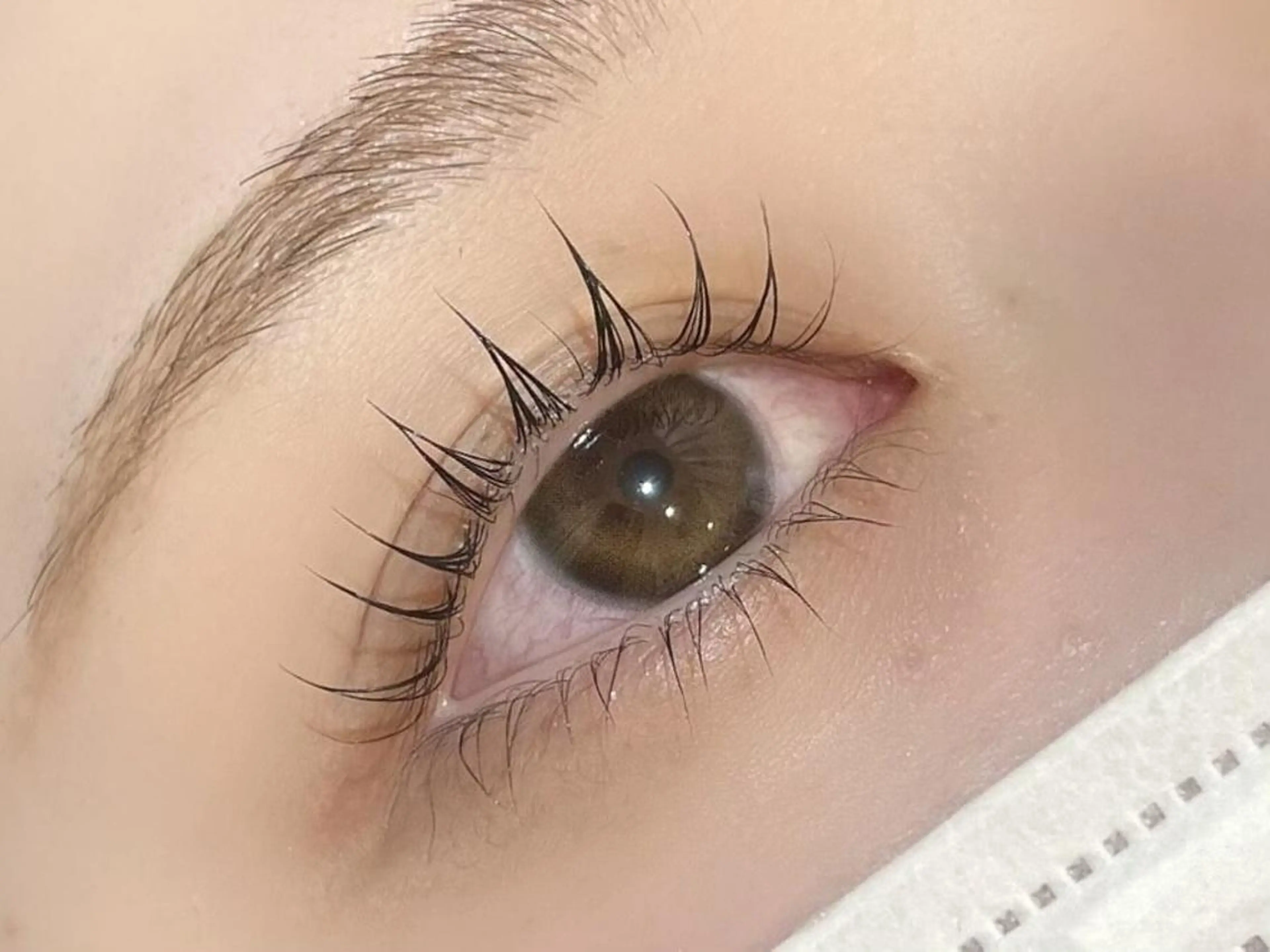 【新規様限定価格】美眉スタイリング＆ラスティングカールの写真