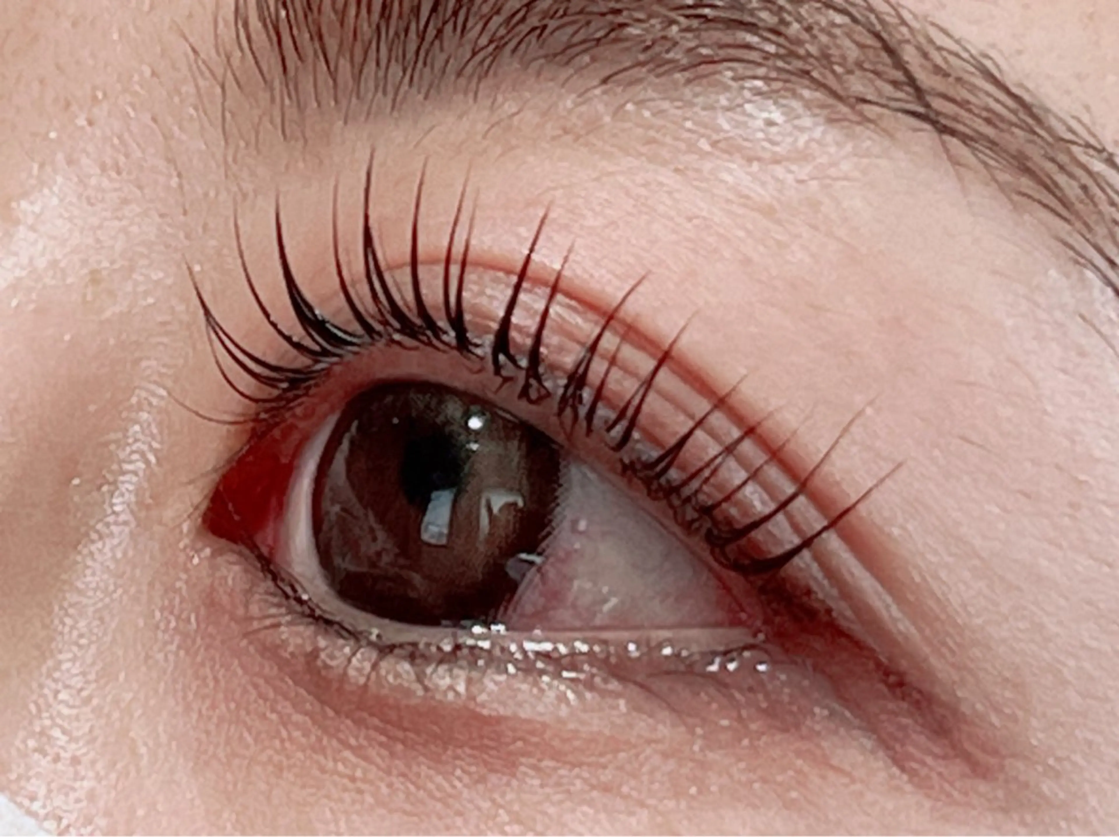 パリジェンヌラッシュリフト【美容液配合トリートメント付き】の写真