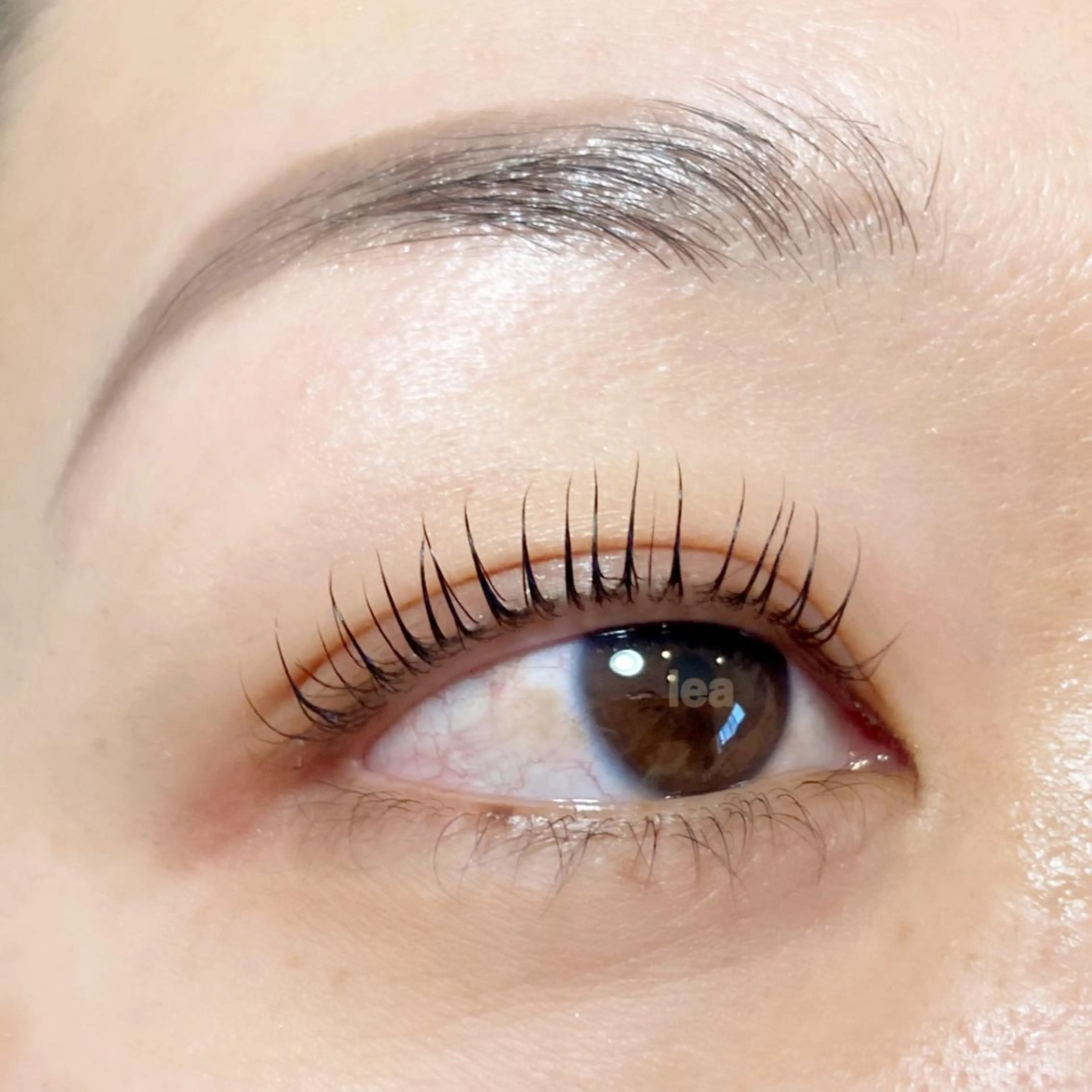 マツエク・マツパ アイブロウ eyelash leaのマツエク・マツパデザイン