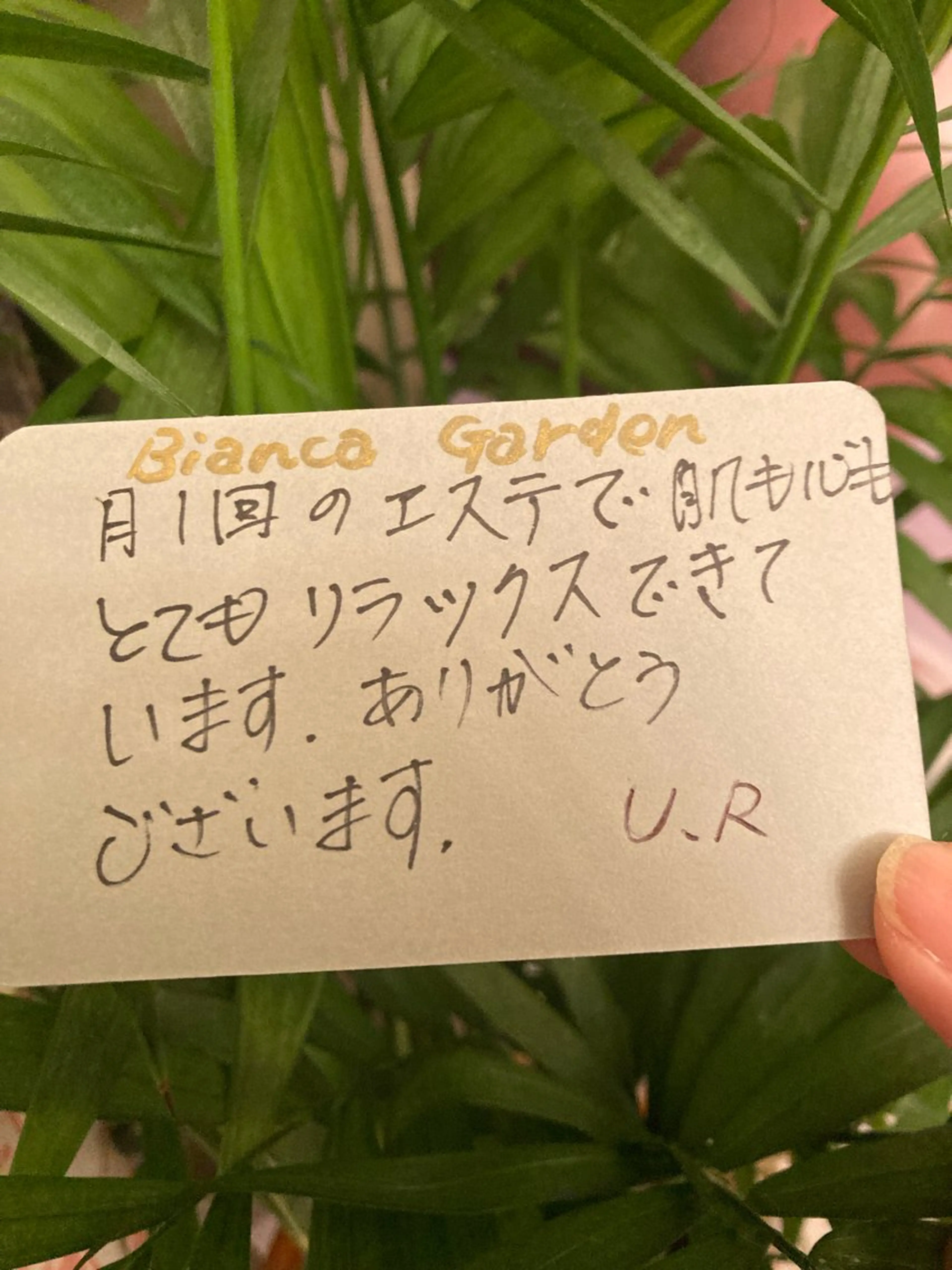 フェイシャルサロン ビアンカガーデンのエステ・リラクイメージ