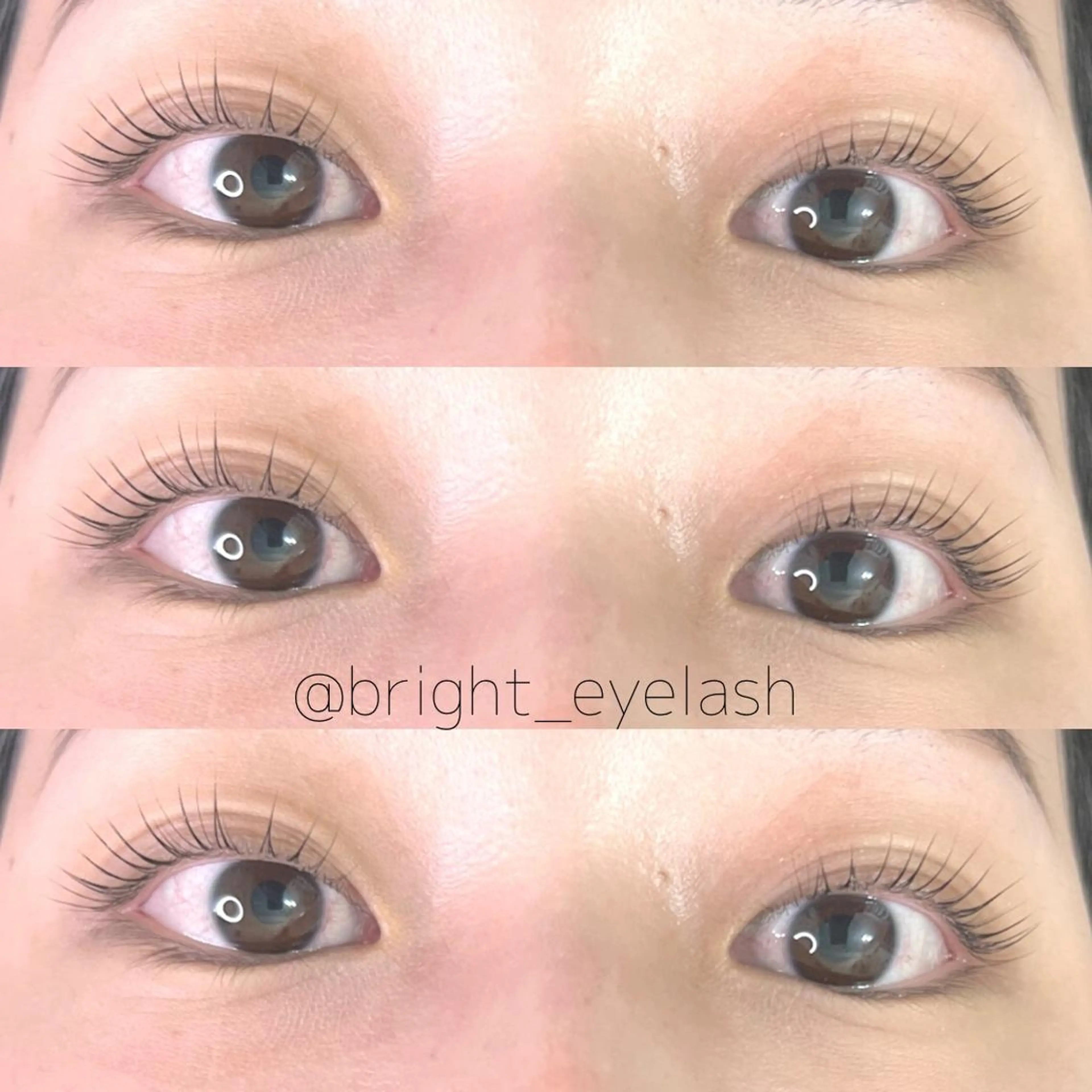 ⚜️ラッシュリフト(まつげパーマ)⚜️トリートメント付きの写真