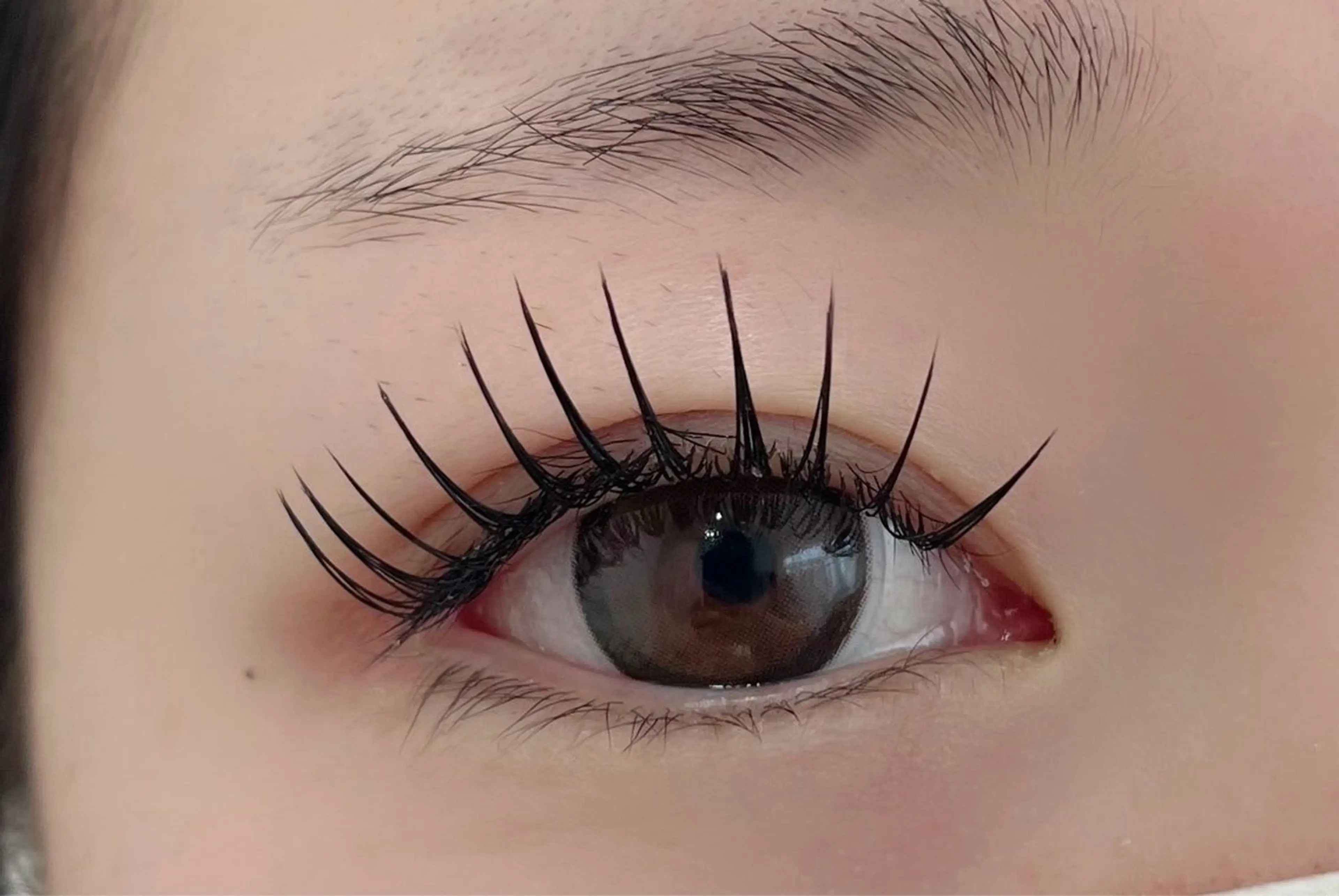 12/25.26限定⭐️【まつげエクステモデル🎀🫧】90分でつけられるだけ（120本​〜​）の写真