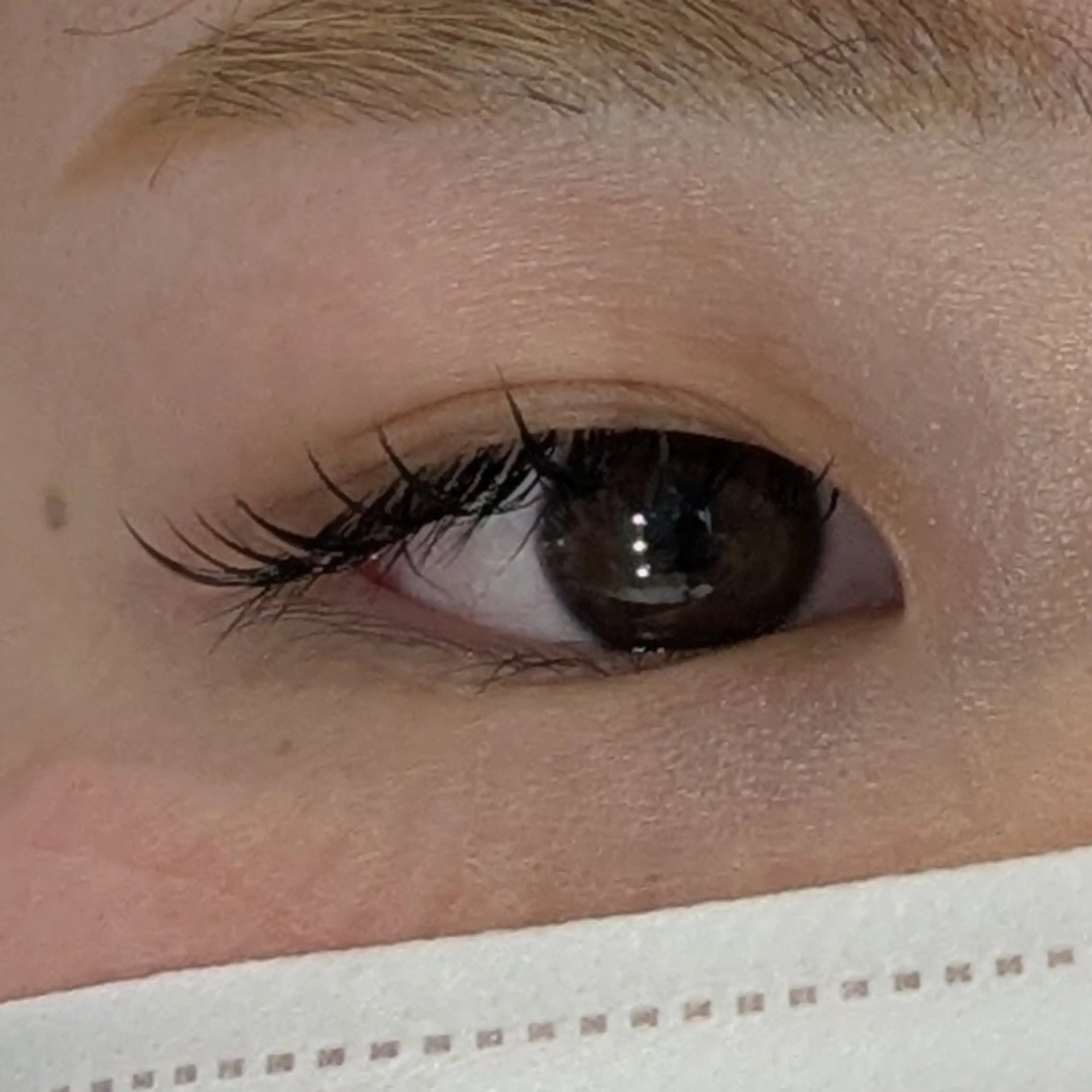 マツエク・マツパ 多田 遥香のヘアスタイル