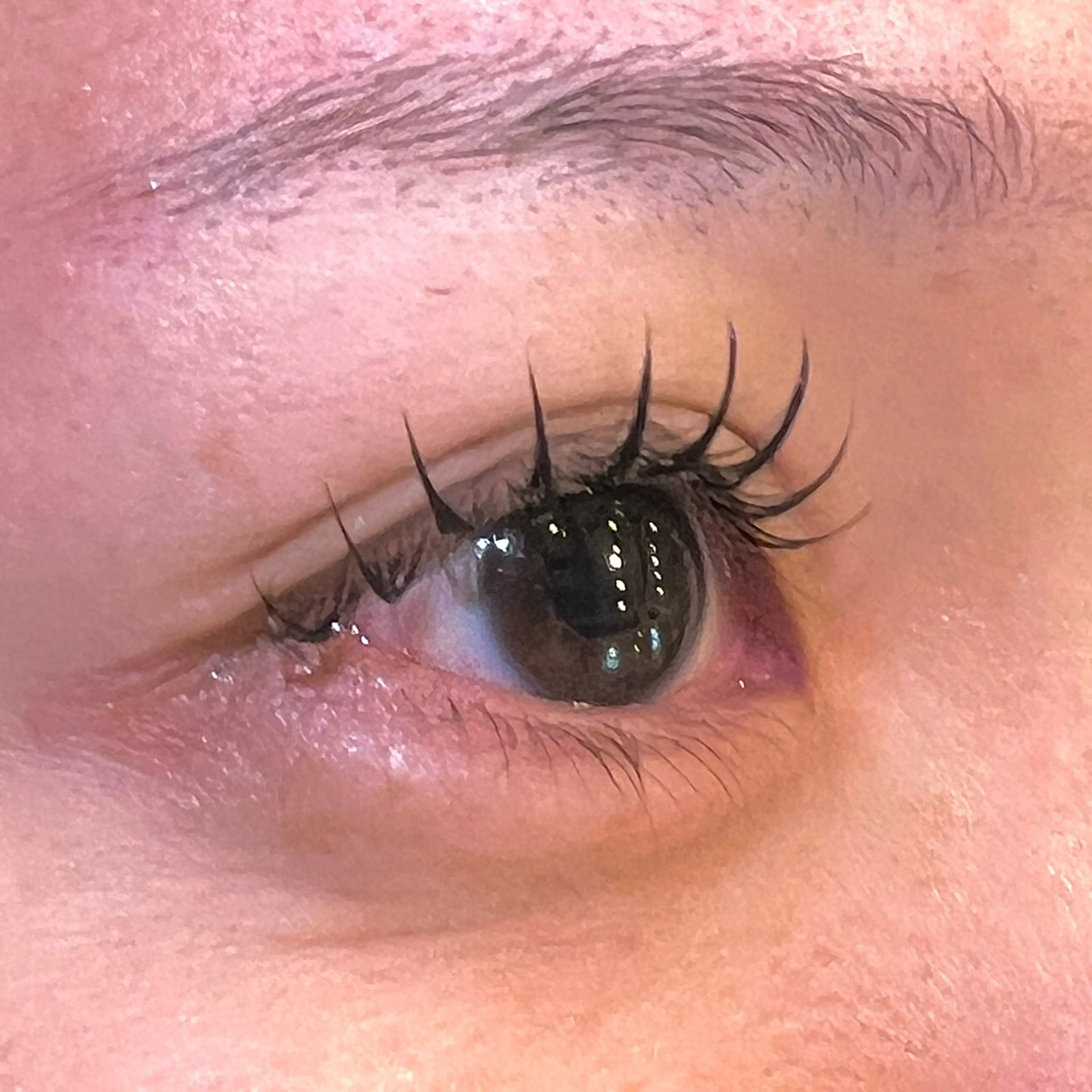 マツエク・マツパ フラットラッシュ マツエク Chay eyelashのマツエク・マツパデザイン