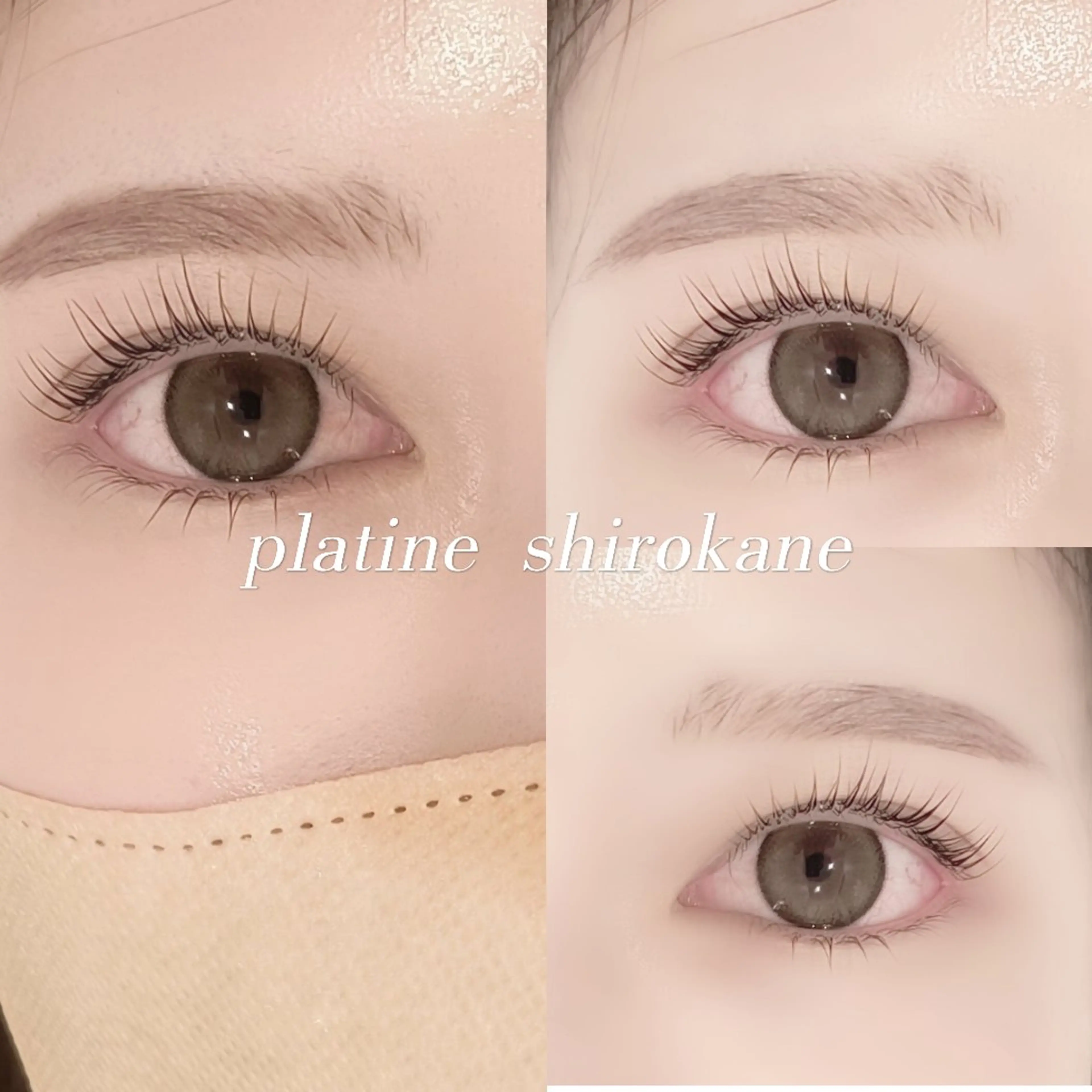 【学割U24】ダメージレス5stepトリートメント付きまつ毛パーマ🌸の写真