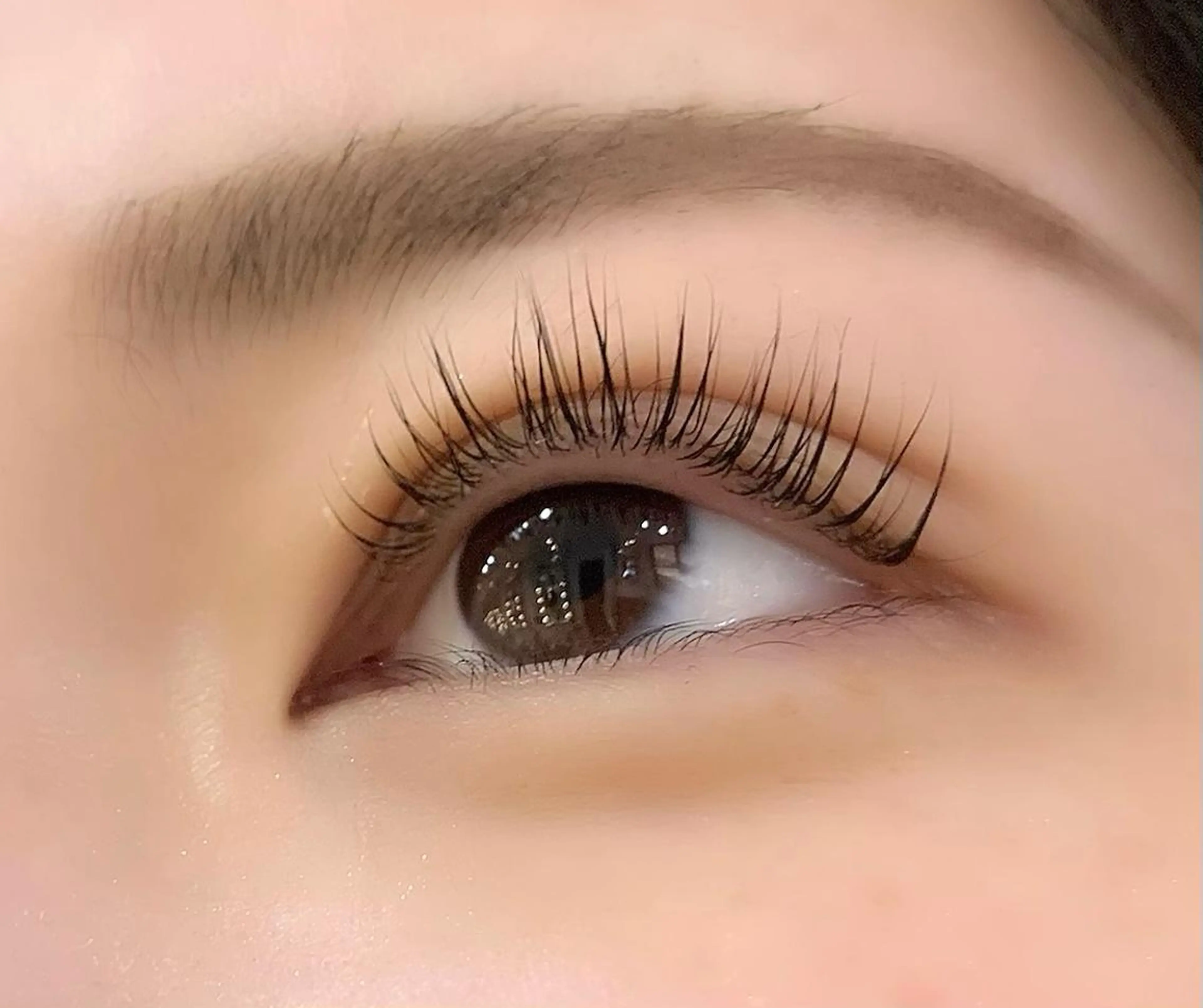 マツエク・マツパ パリジェンヌラッシュリフト Celeste Venus所属・🧸Celeste Venusのマツエク・マツパデザイン