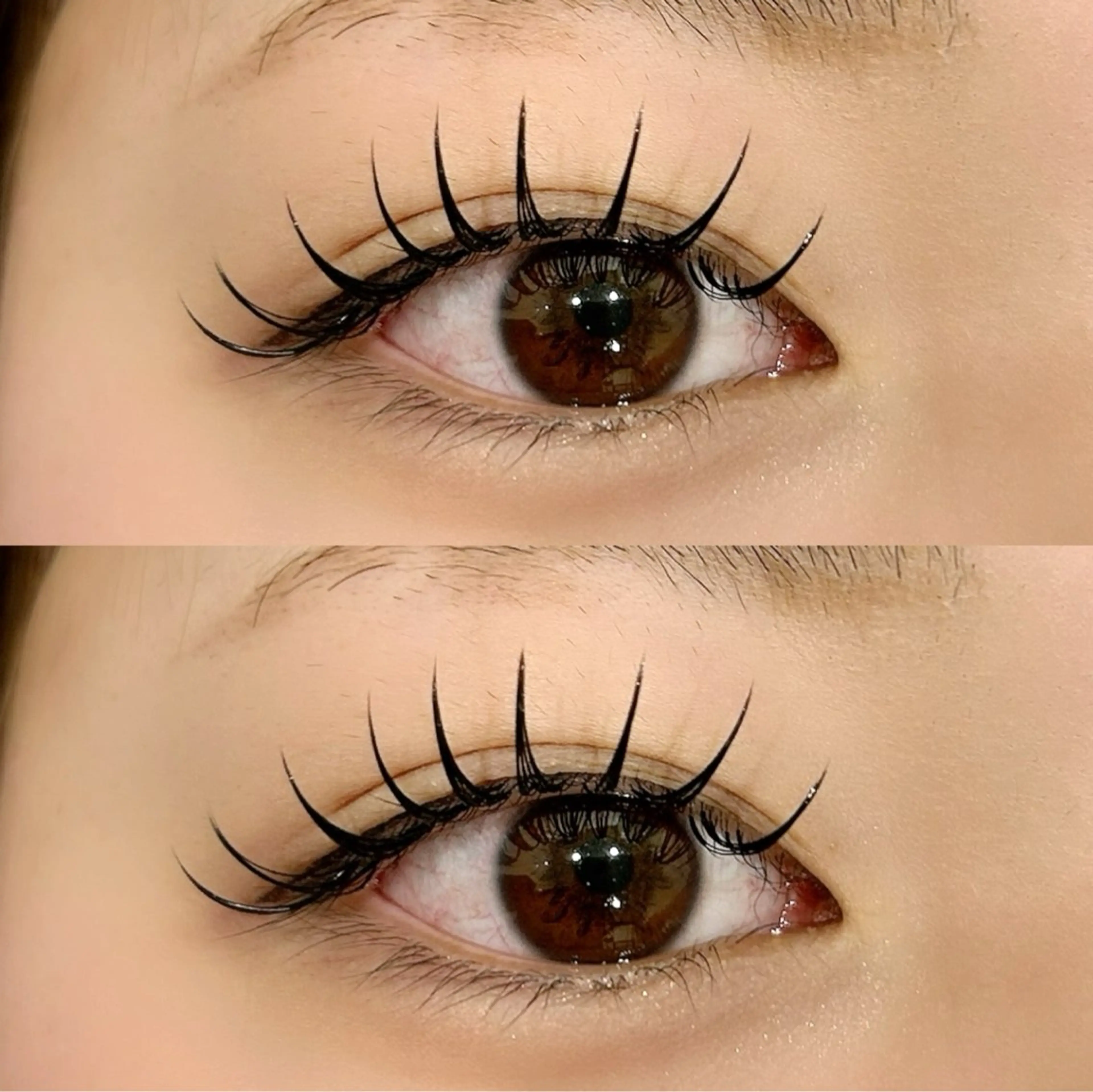 【初回限定】オフ込み！持ち最強バインドロック80束🌟の写真