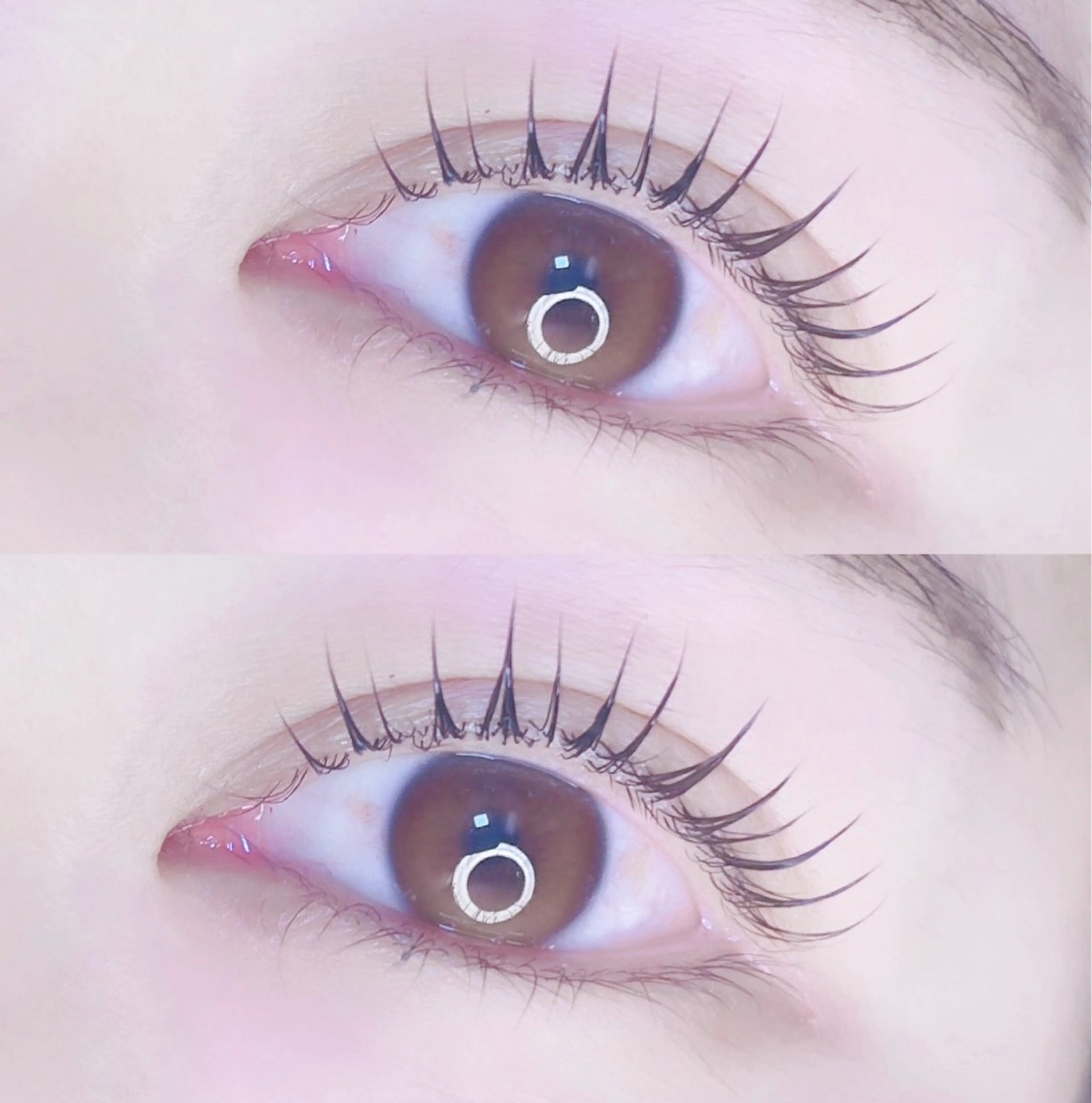 1日3名様限定❤️12月限定⛄️埋まり次第終了‼️韓国風束感仕上げまつ毛パーマ👀コーティング仕上げ付きの写真