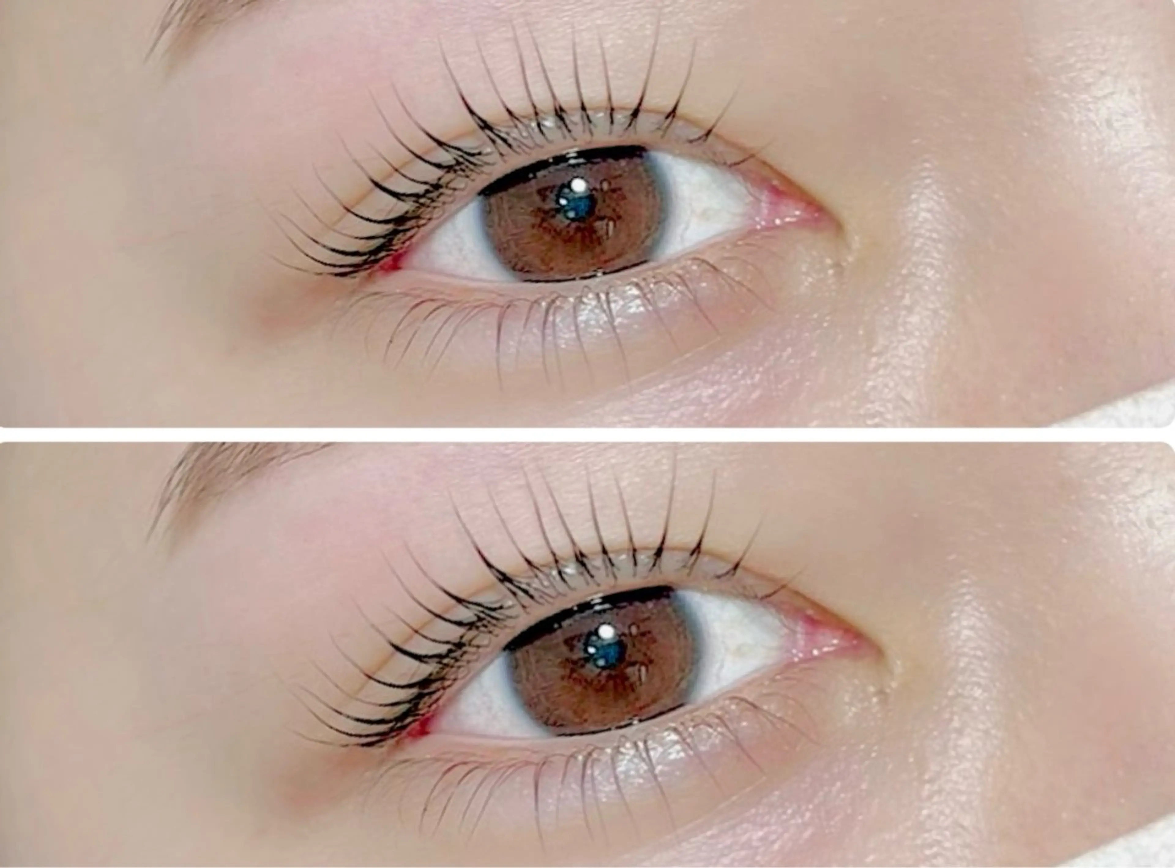 マツエク・マツパ eyelash&eyebrow Erde所属・Erde/ horizoe🕊️の眉毛・アイブロウイメージ