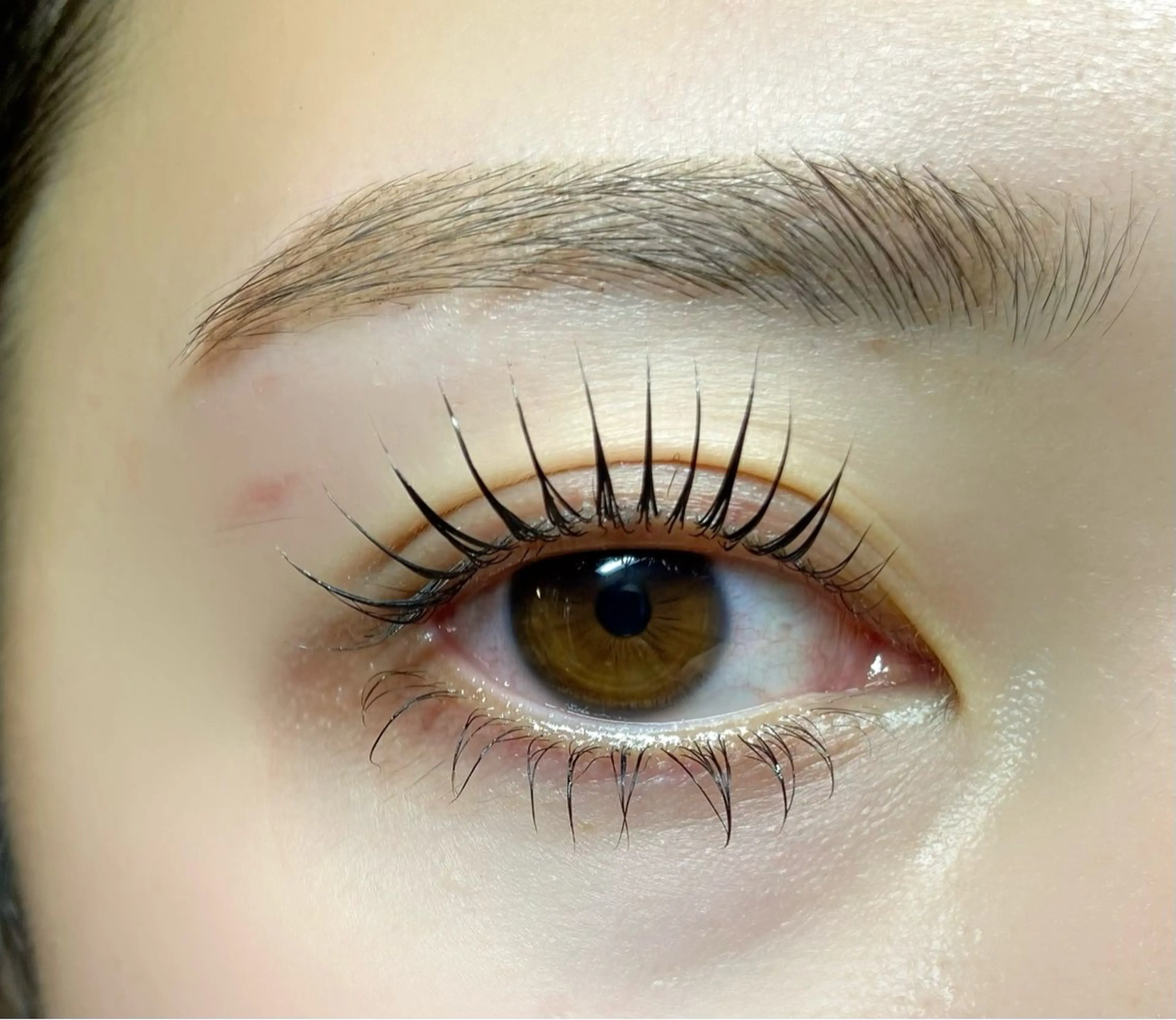 【ミニモ限定募集】上下まつげパーマ🌷種類豊富です✨の写真