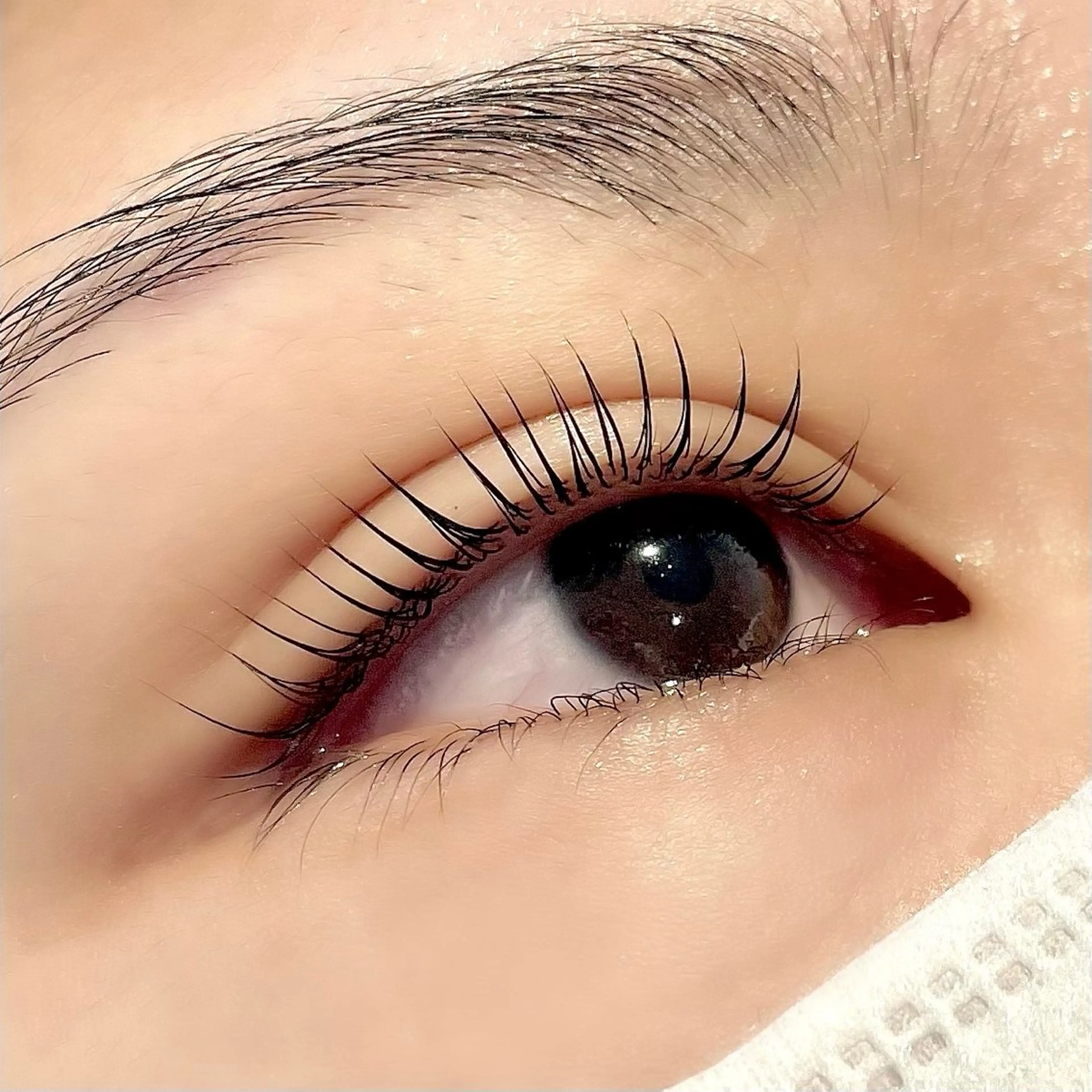 【学割】❞マスカラパーマ❞ ブラックティント+選べるラッシュリフト🕊️🌱の写真