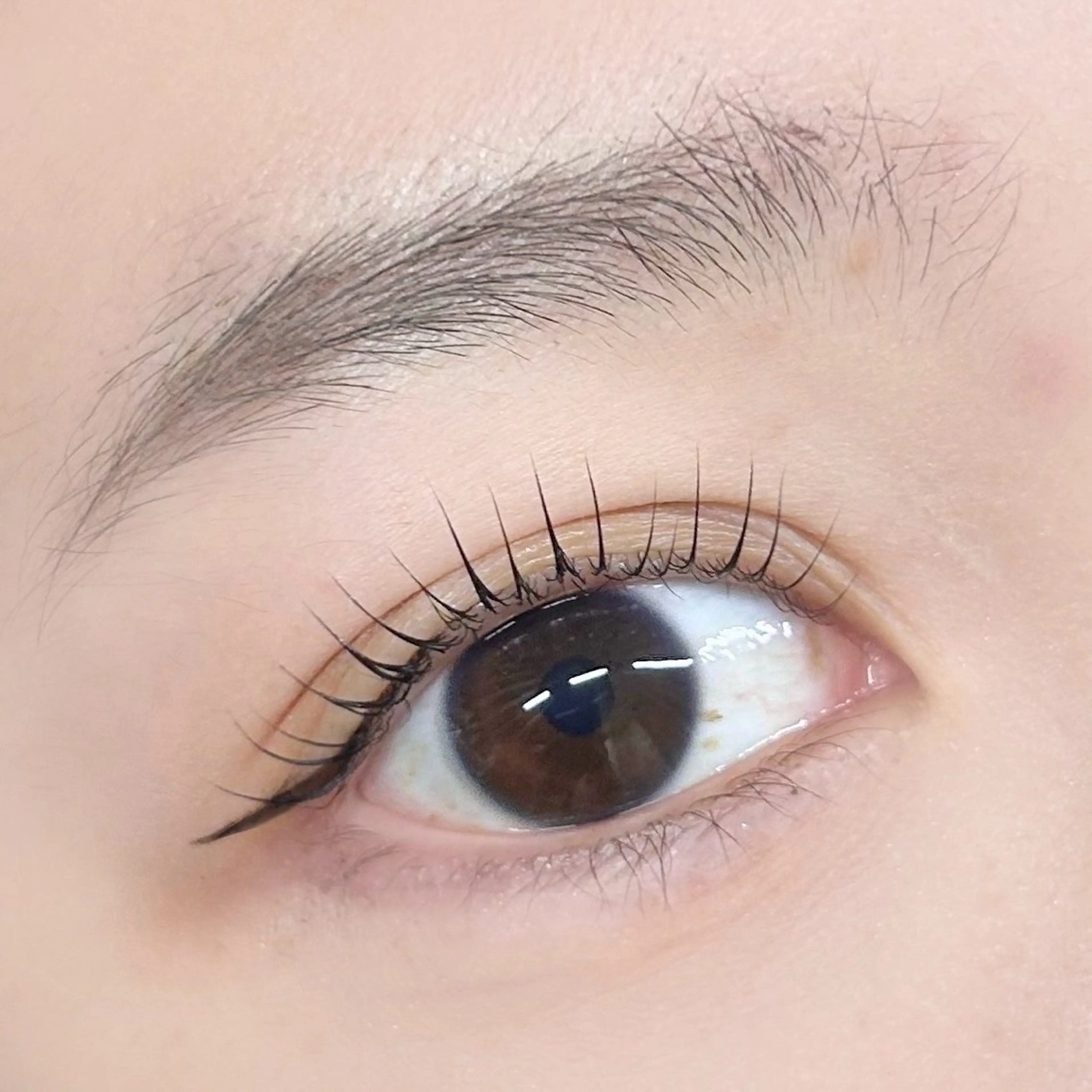 マツエク・マツパ 美眉/まつ毛 shuka🩶🎧の眉毛・アイブロウイメージ