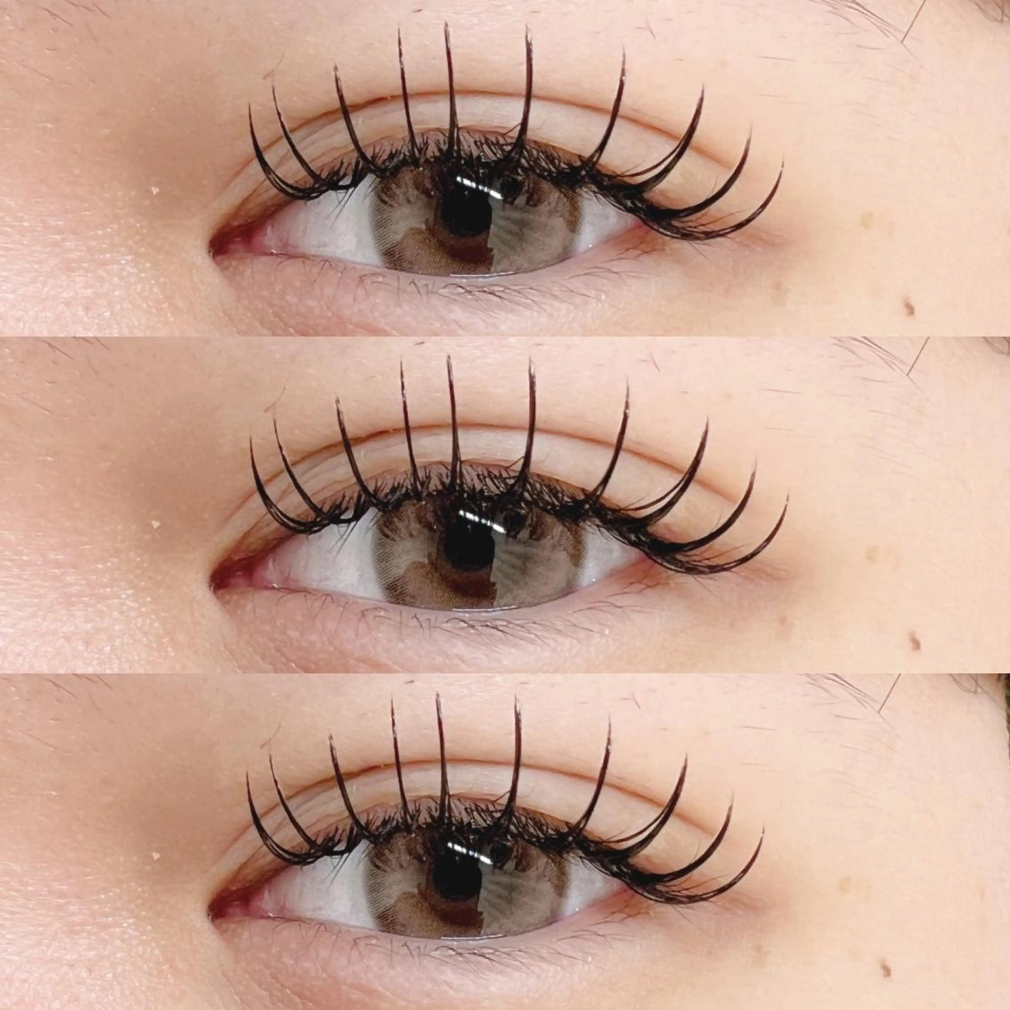 マツエク・マツパ フラットラッシュ マツエク Baby step.のマツエク・マツパデザイン