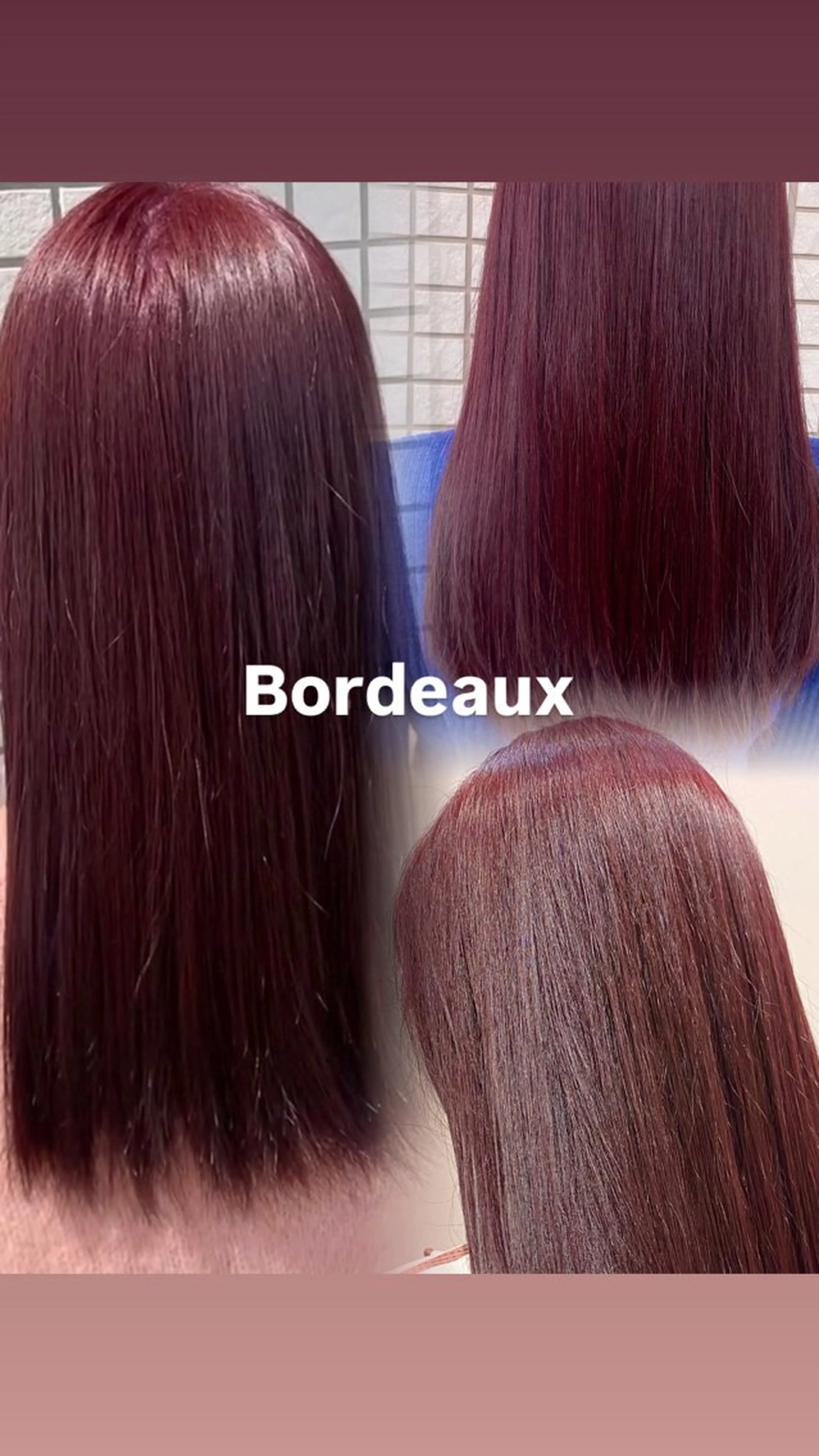 セミロング カラー ヘアアレンジ ブリーチ ボルドーカラー ブリーチなしカラー カット ヘアカラー トリートメント 顔周り小顔カット ×ブリーチなしカラーのヘアスタイル