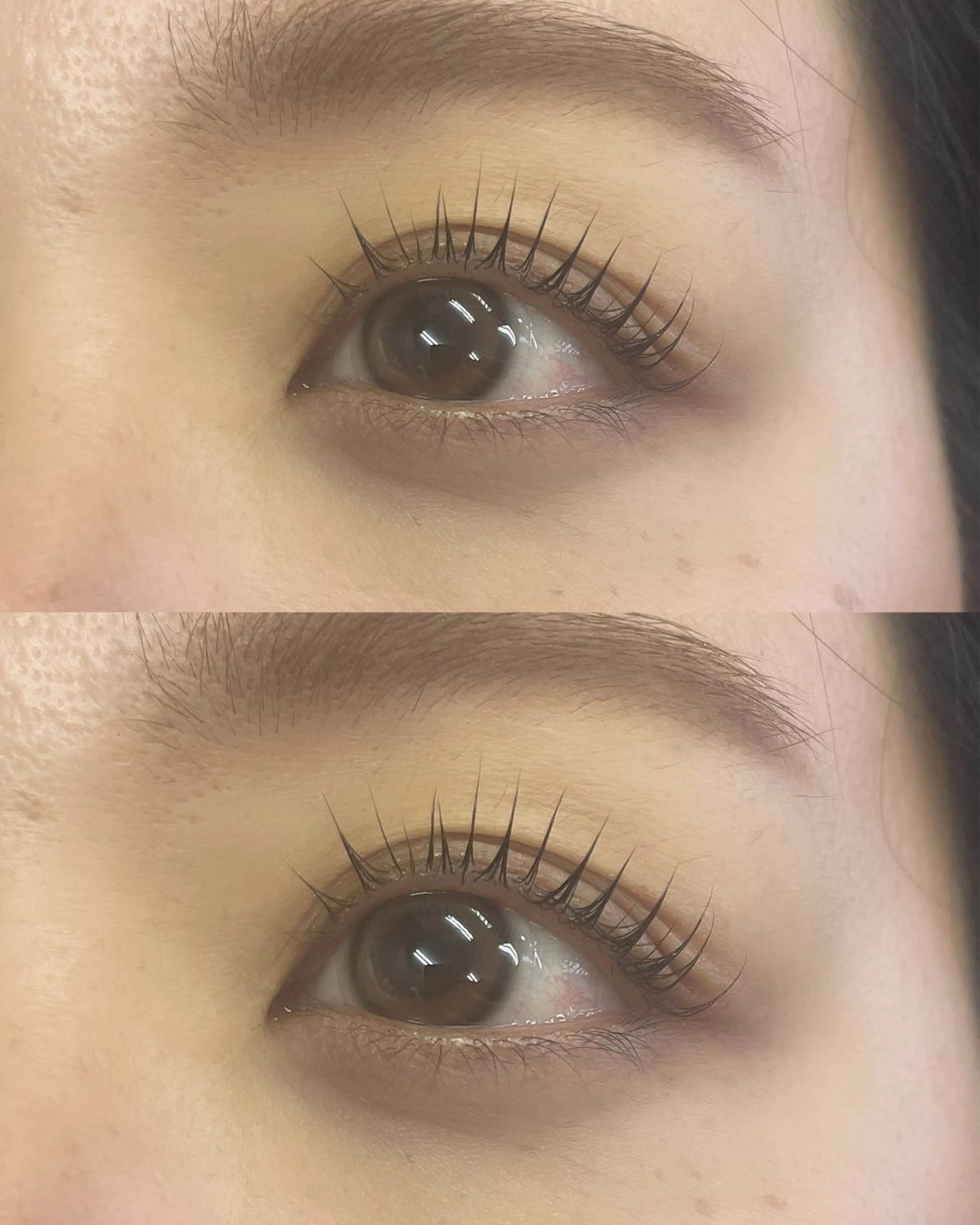 立ち上げまつ毛パーマ(コーティング仕上げ)💛の写真