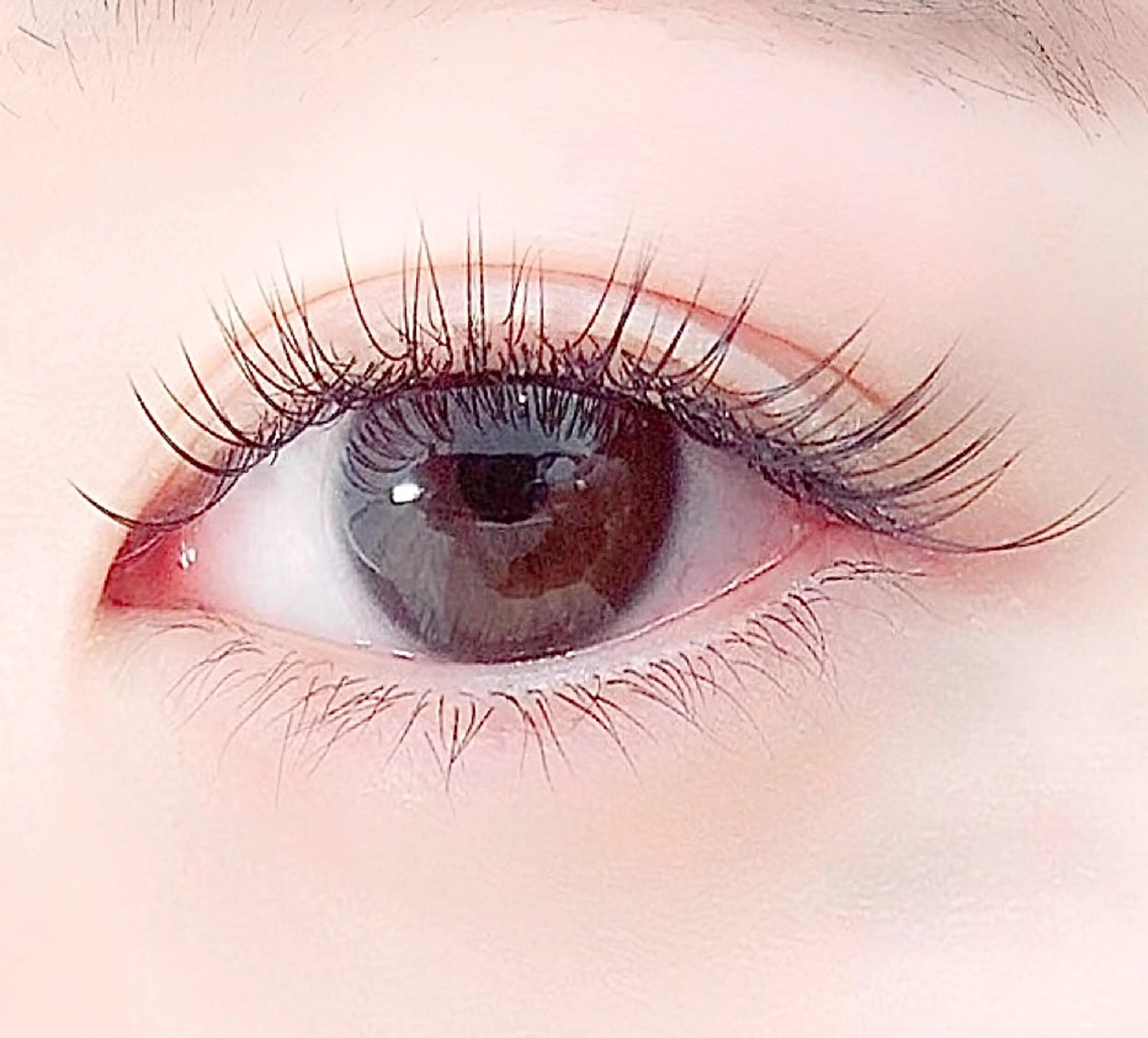 フラットラッシュ120本の写真