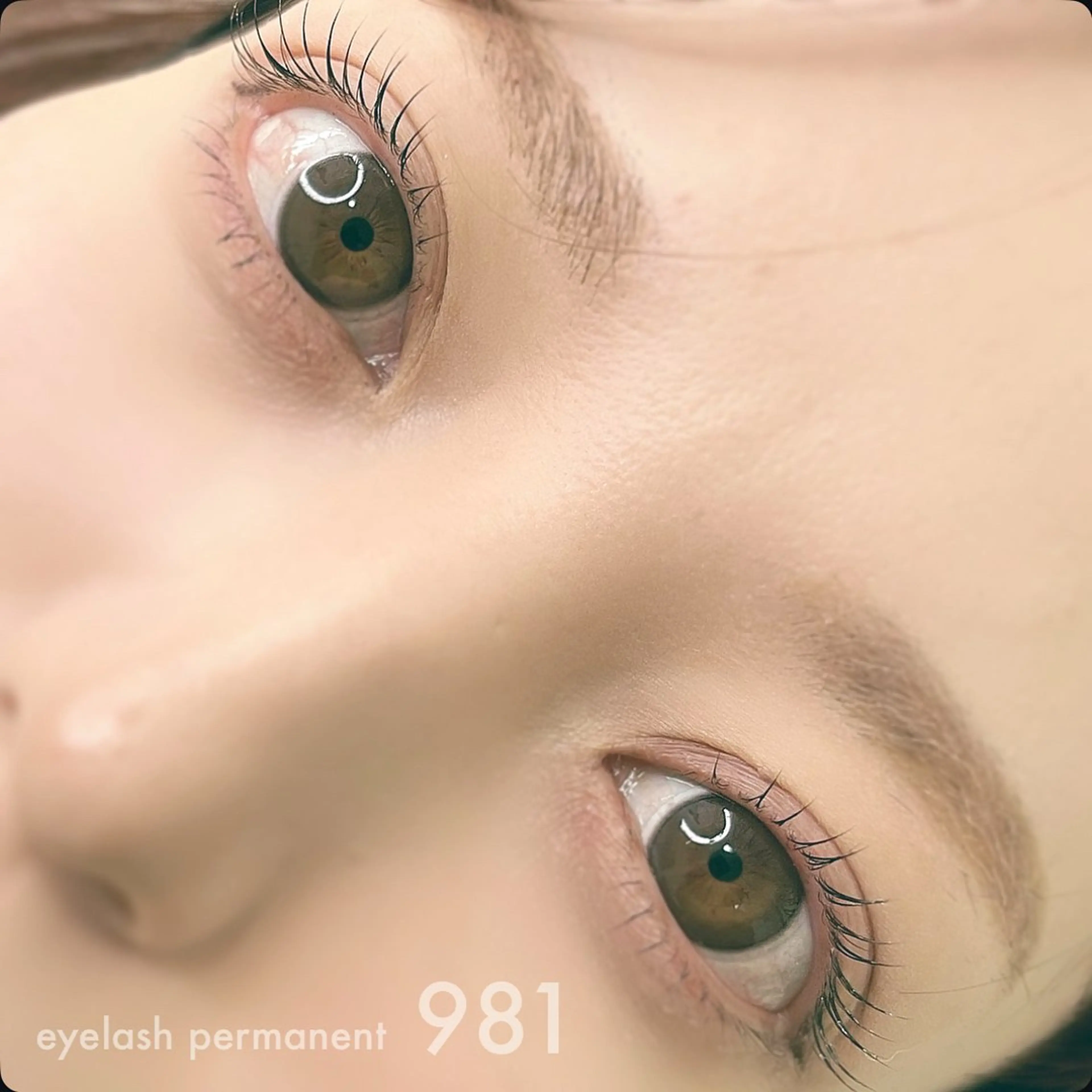 マツエク・マツパ 981 KURUMIのマツエク・マツパデザイン