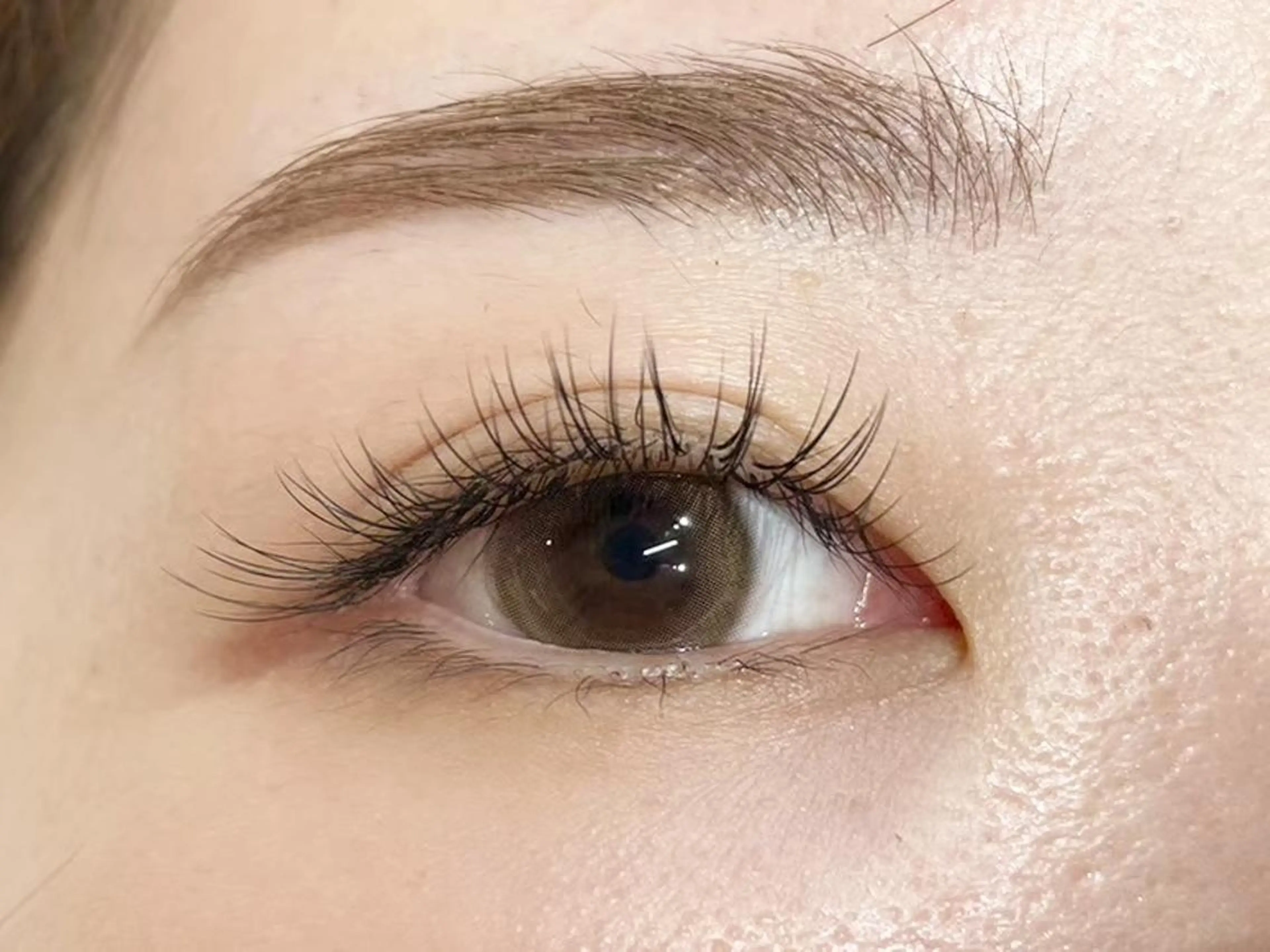 【🍀ミニモ特別価格🍀】フラットラッシュ《90分つけ放題》　￥10,980の写真