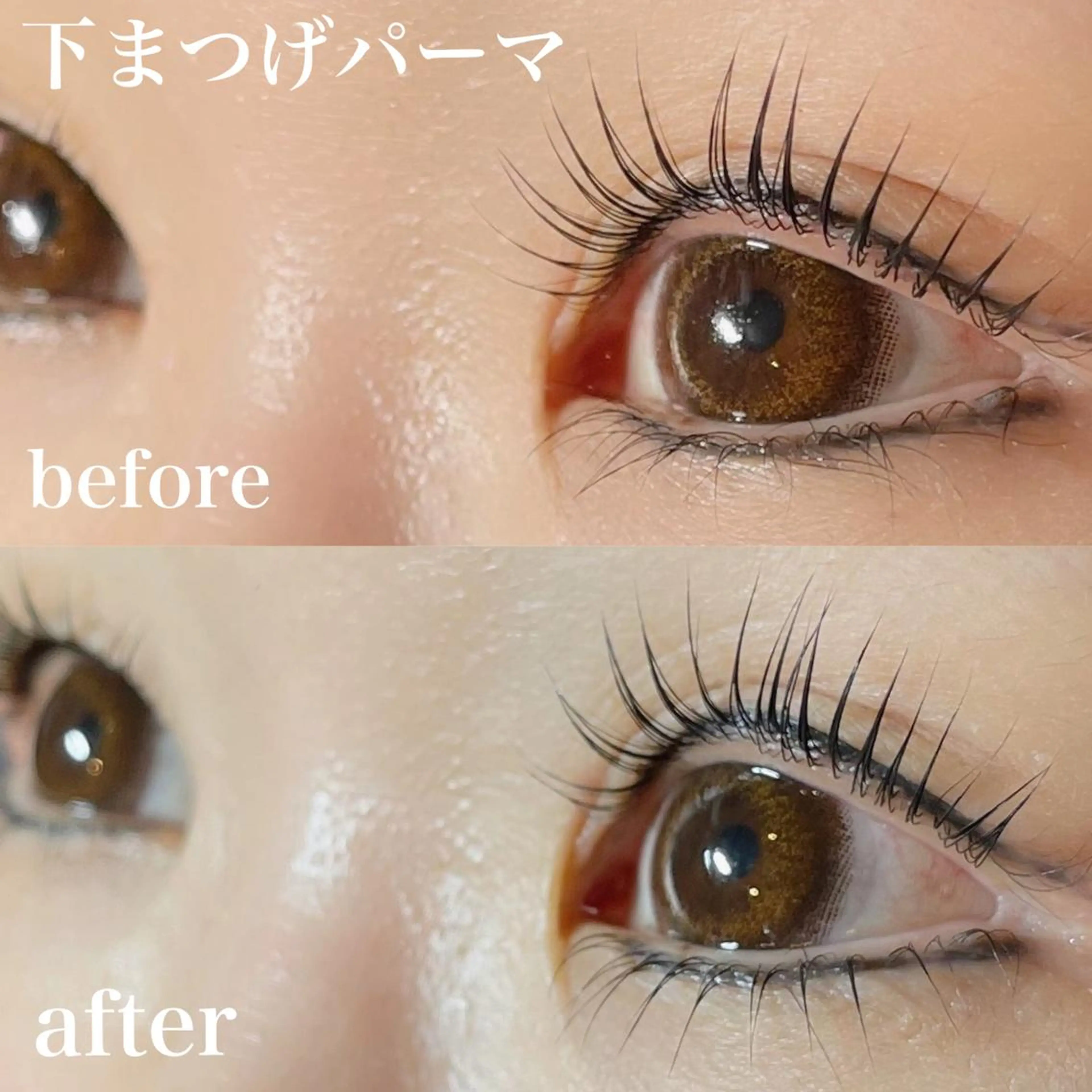 マツエク・マツパ まつげパーマ 下まつげエクステ バスクアイラッシュ所属・BASQUE バスクアイラッシュのマツエク・マツパデザイン
