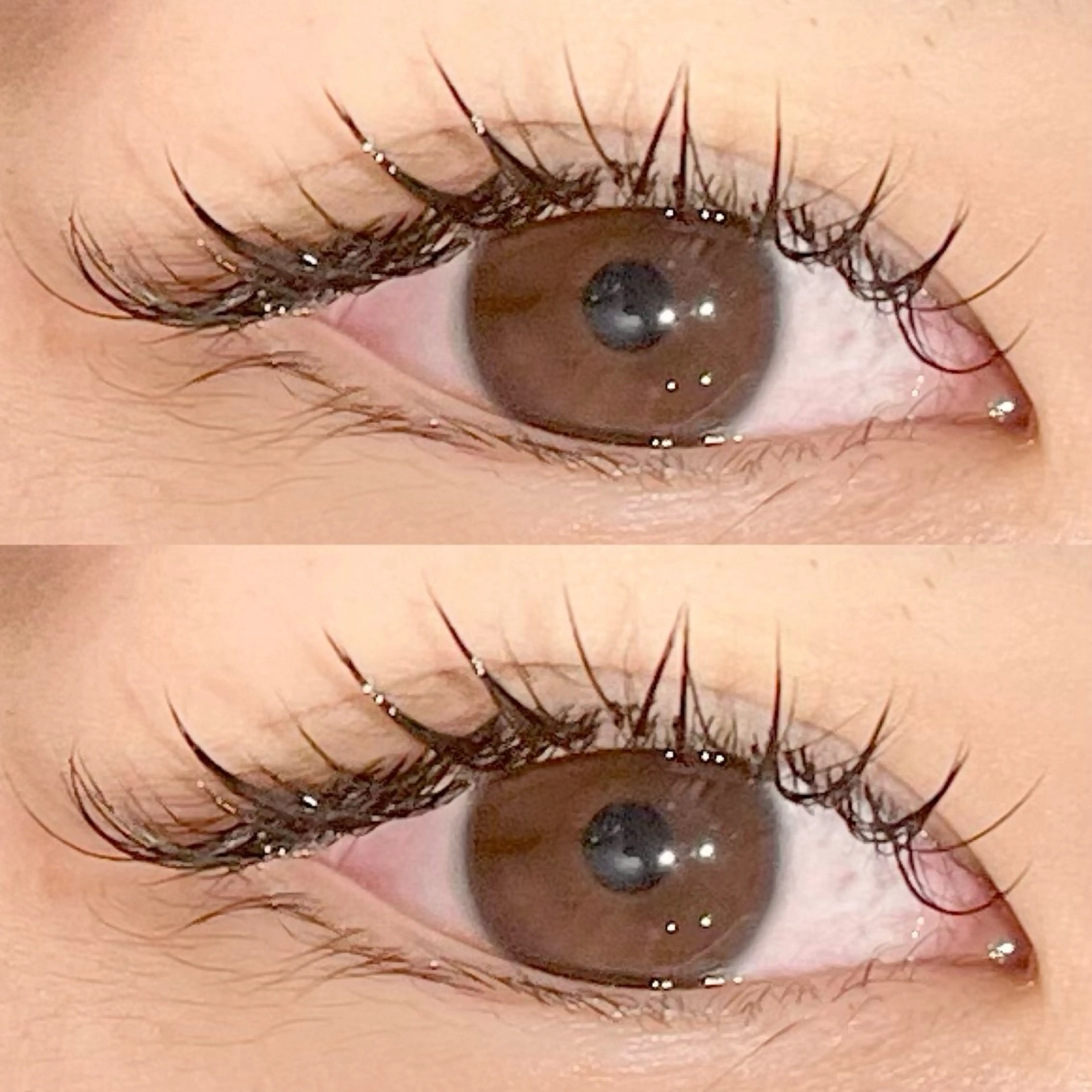 シングル（フラット、セーブル）･･･120本の写真