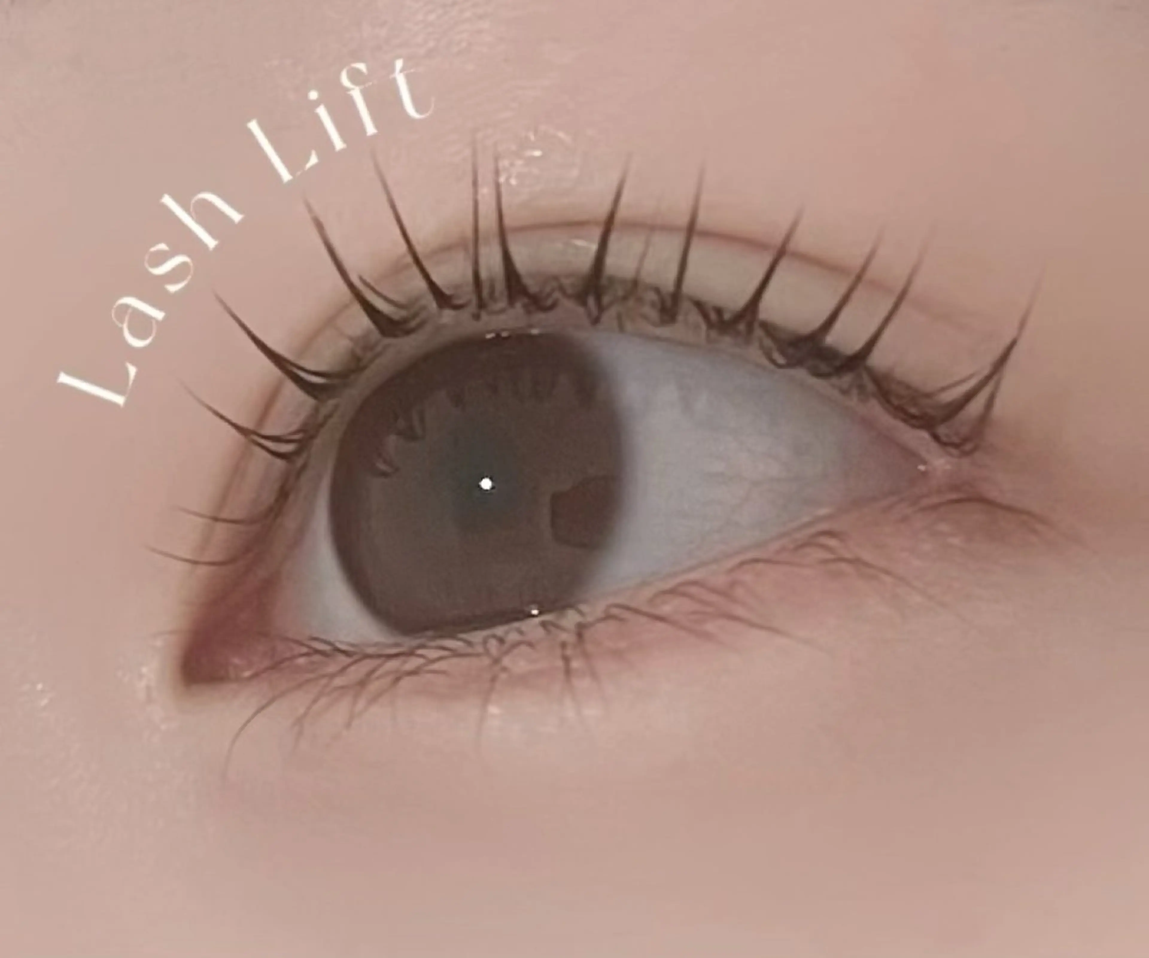 【ご新規様限定】まつ毛パーマ＋まつ毛トリートメント/まつパ〈束感まつげ美容液コーティング付き〉の写真