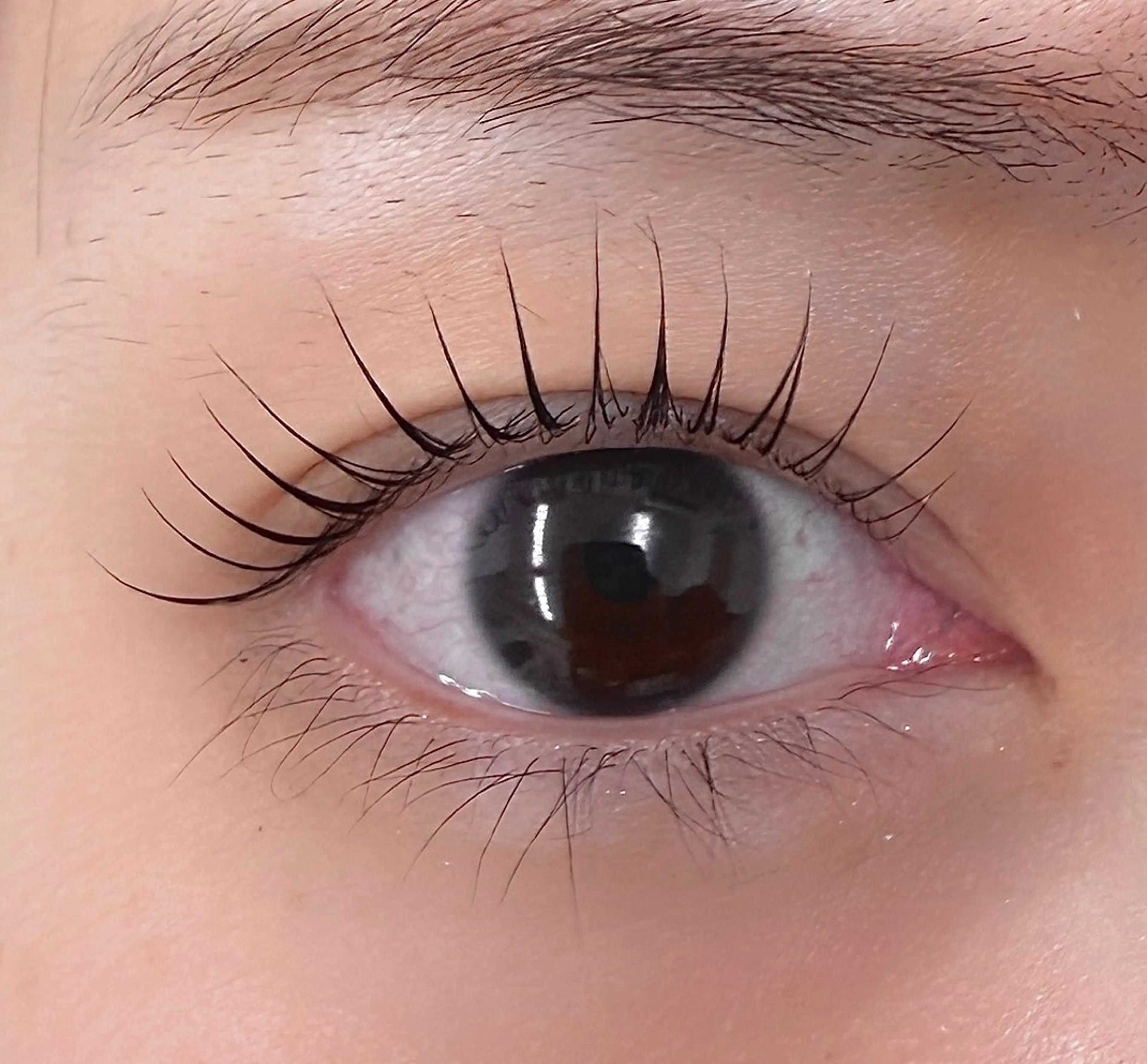 マツエク・マツパ マツパ 表参道駅徒歩2分🫧 まつげパーマ/Emiのマツエク・マツパデザイン