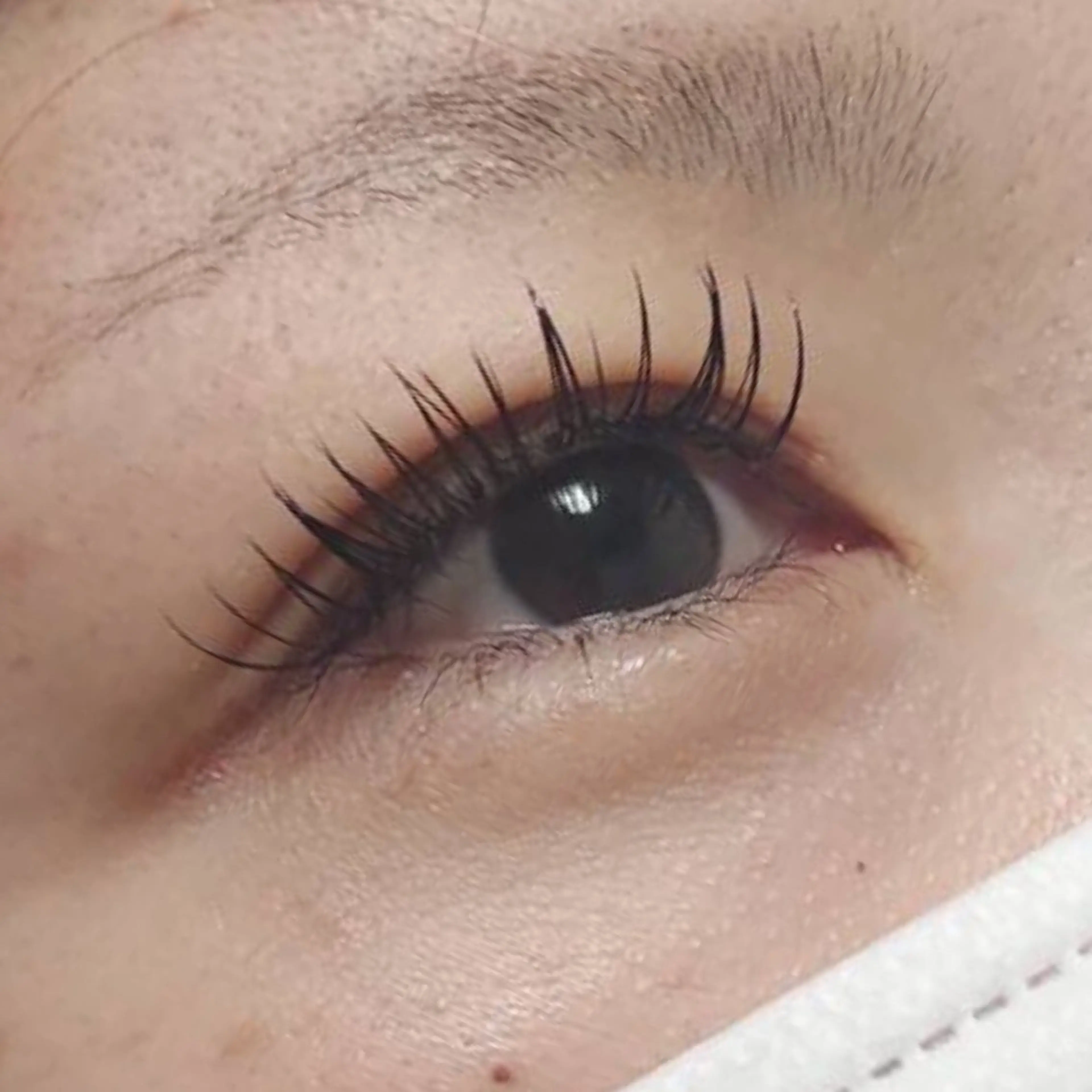 🫧撮影モニター募集🫧🌼 超軽量・高持続！！フラットラッシュ140本🌼の写真