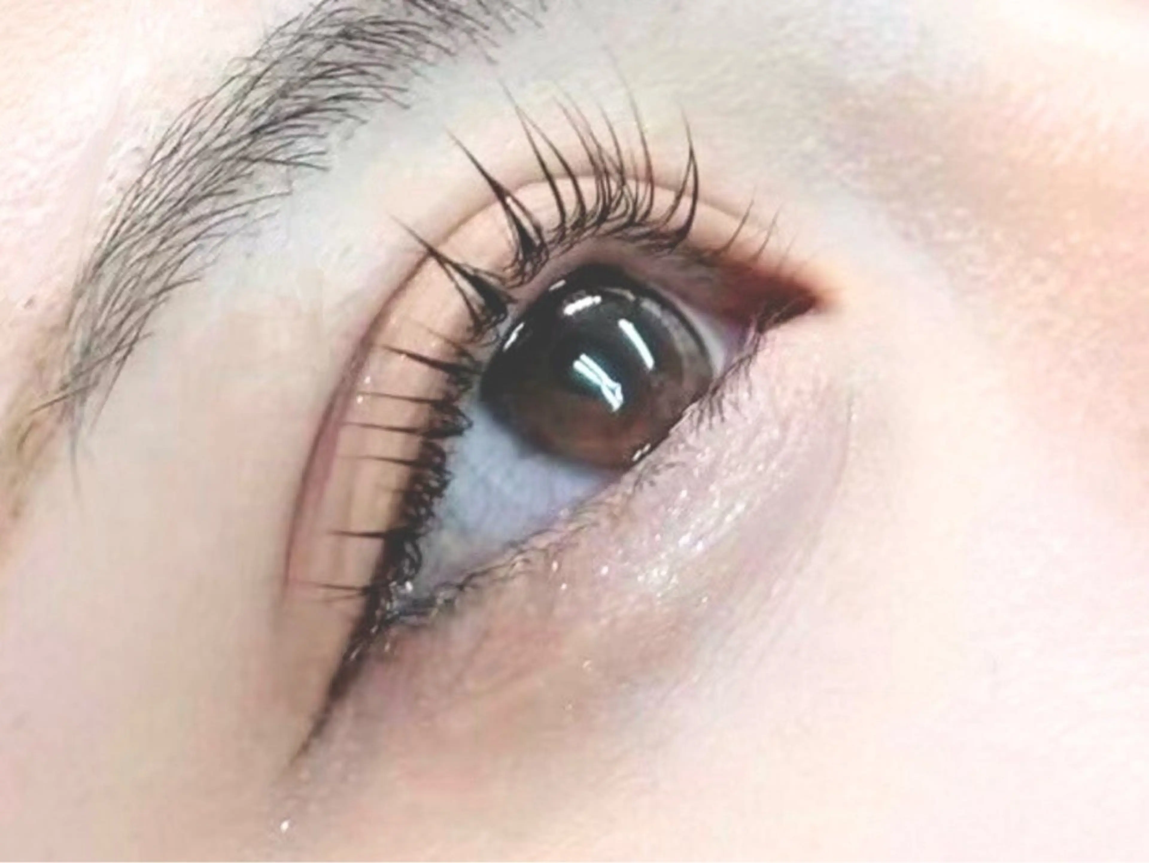 【40歳以上のお姉様限定‼️】次世代✨️ビューラー式まつげパーマ👀 ※対象年齢外の方は正規料金でのご案内になります。の写真