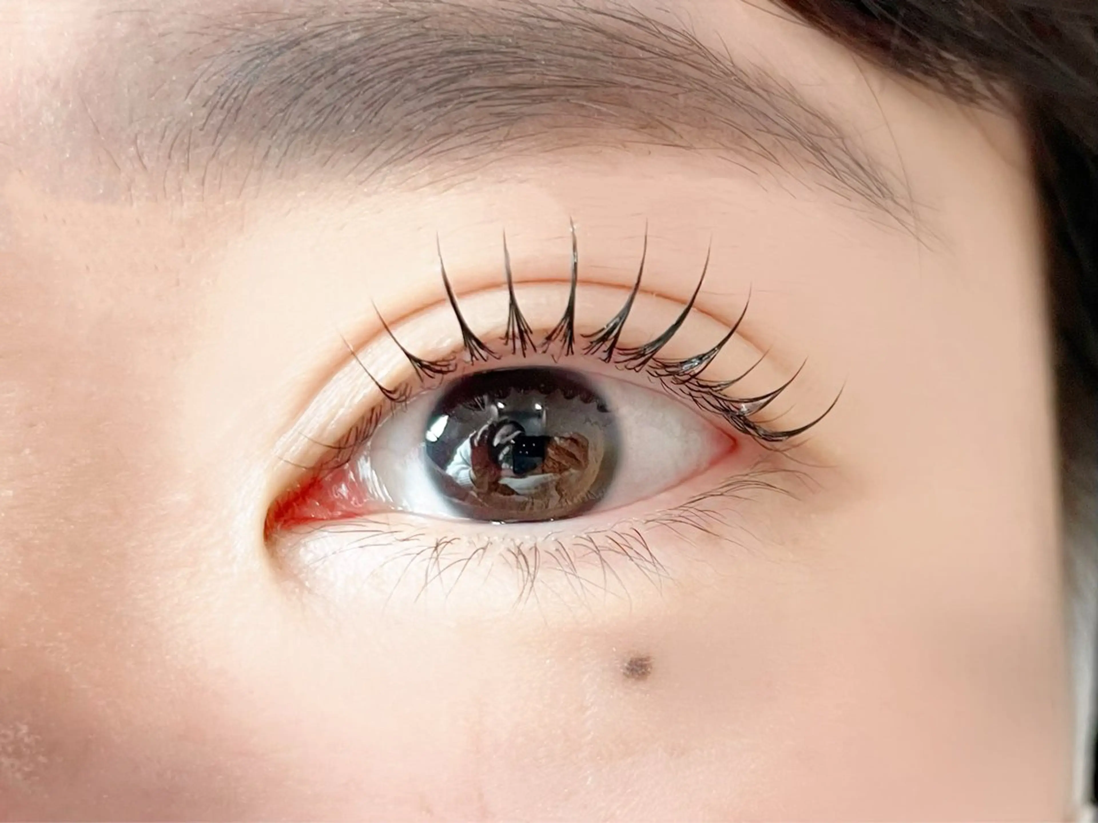 マツエク・マツパ マツパ Pupu lash所属・Pupu lash 2のマツエク・マツパデザイン