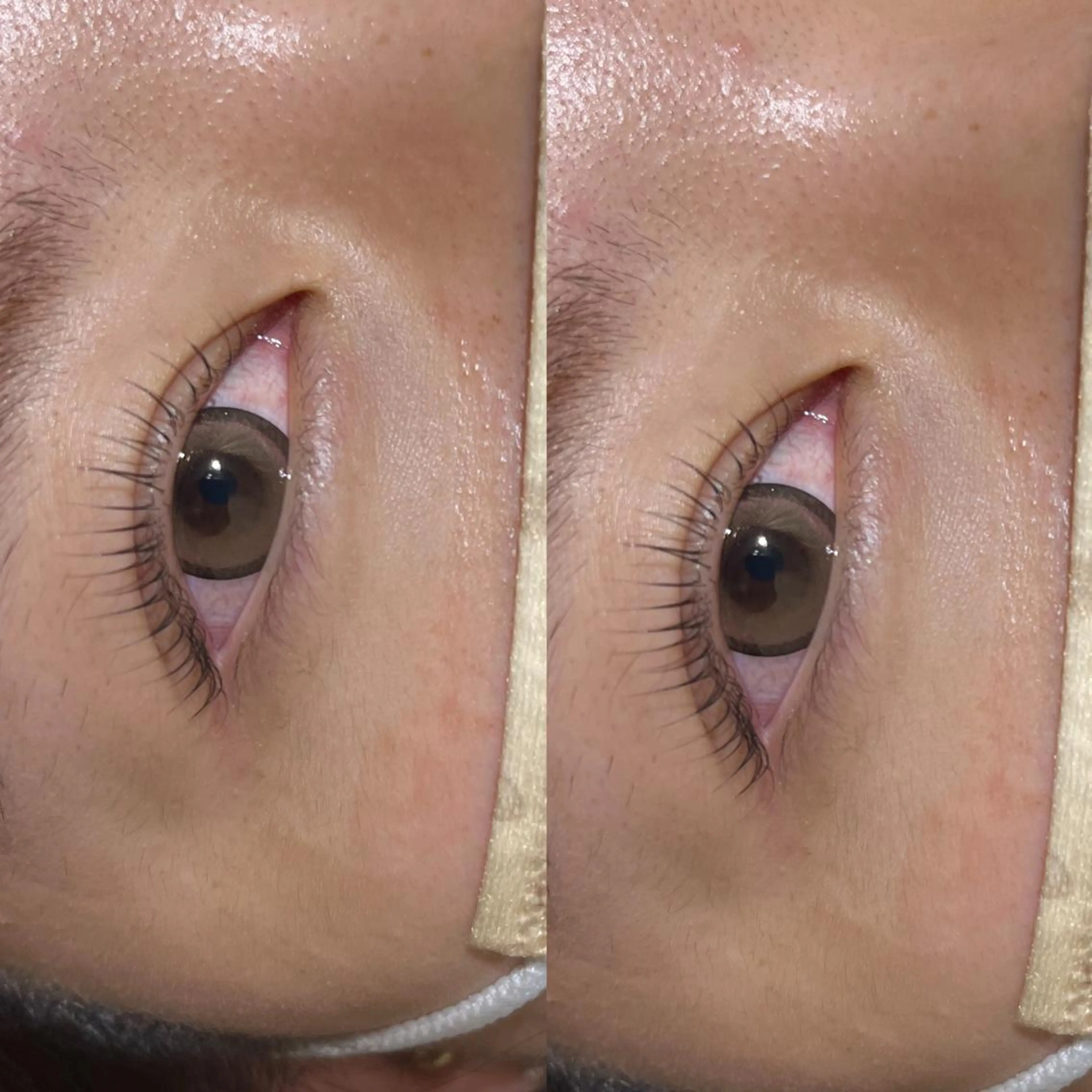 マツエク・マツパ 谷野 春香のヘアスタイル