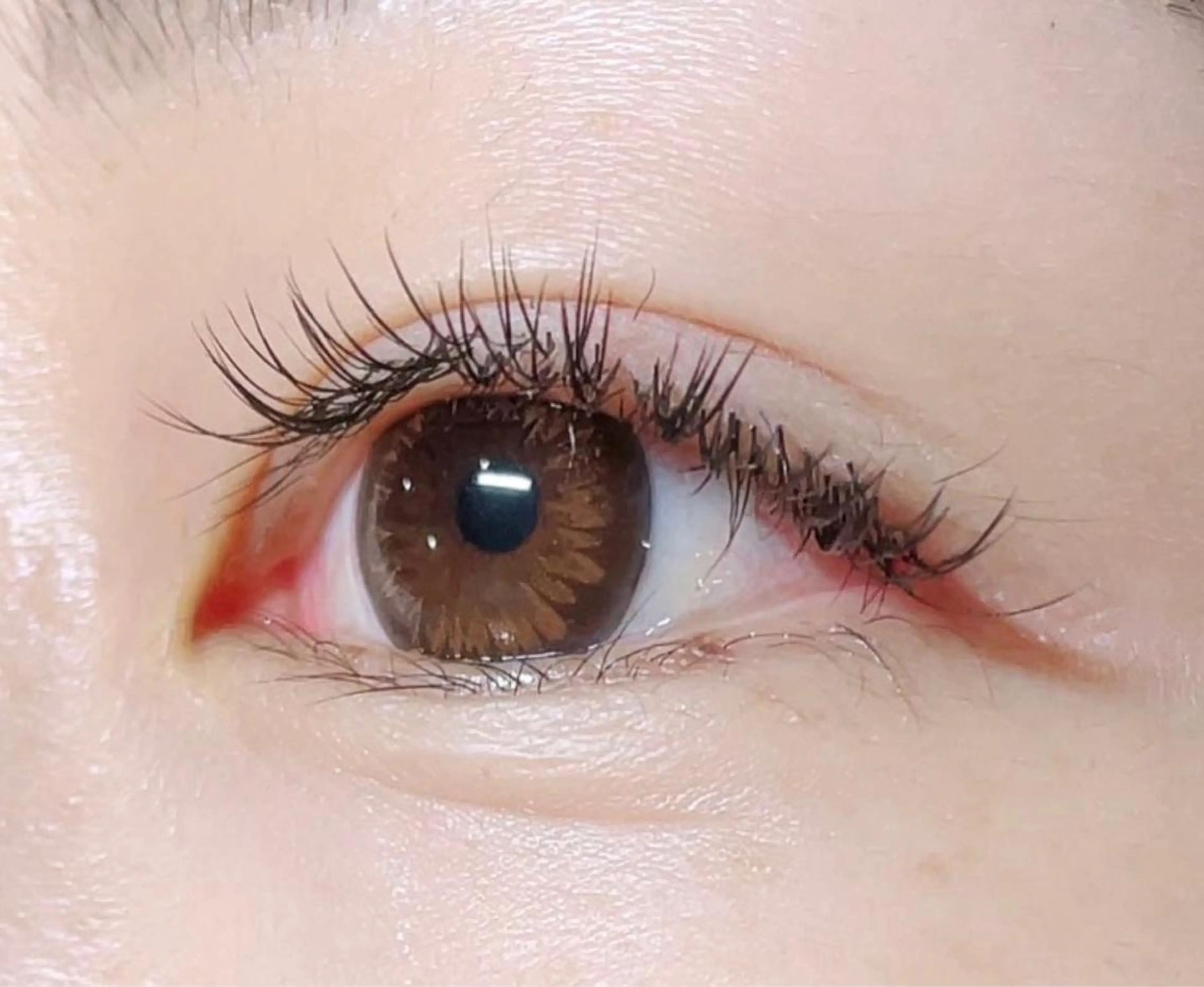 マツエク・マツパ iu.(イユドット)所属・🤍二条城北iu. /IKUHOのマツエク・マツパデザイン