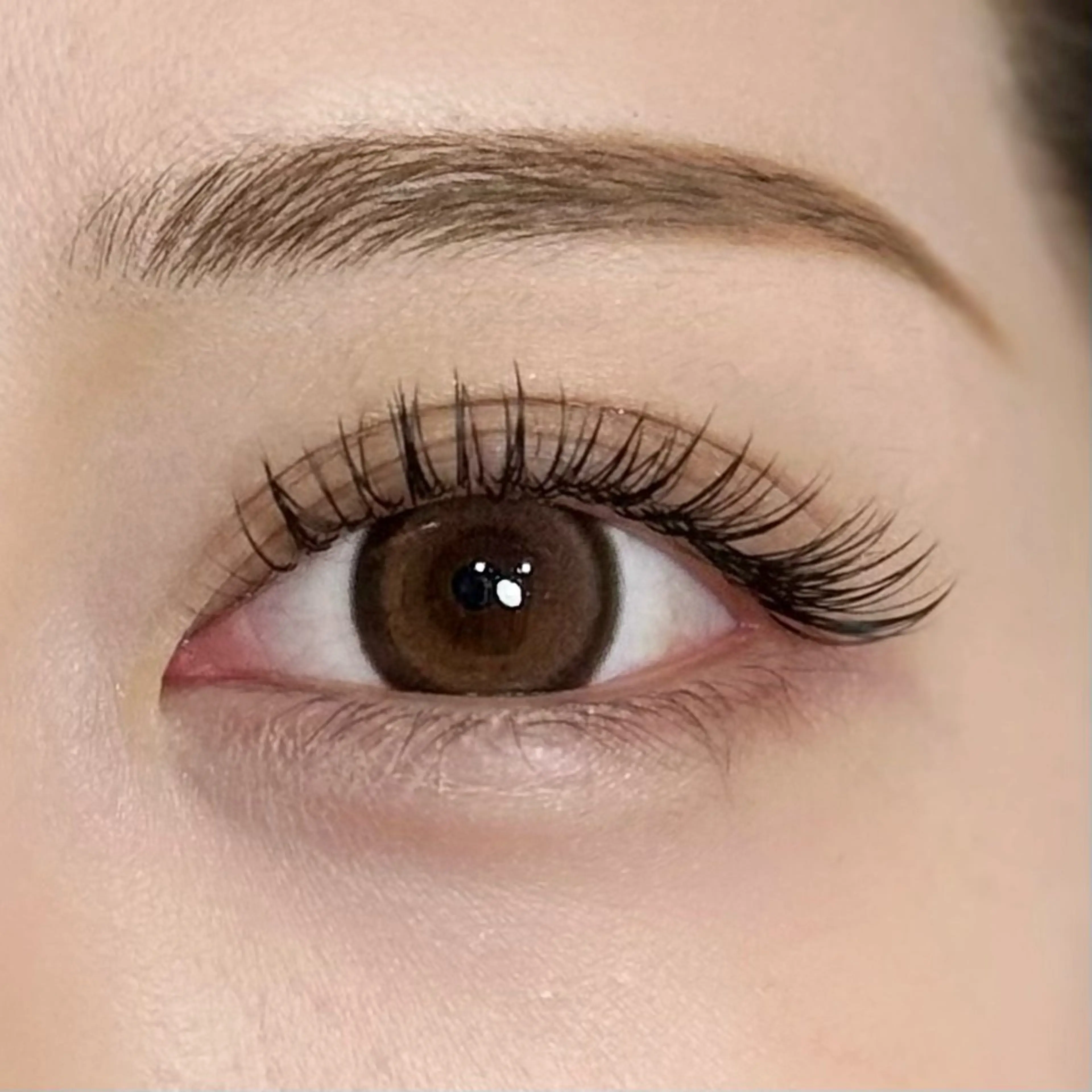 マツエク・マツパ Lucia 中澤のマツエク・マツパデザイン