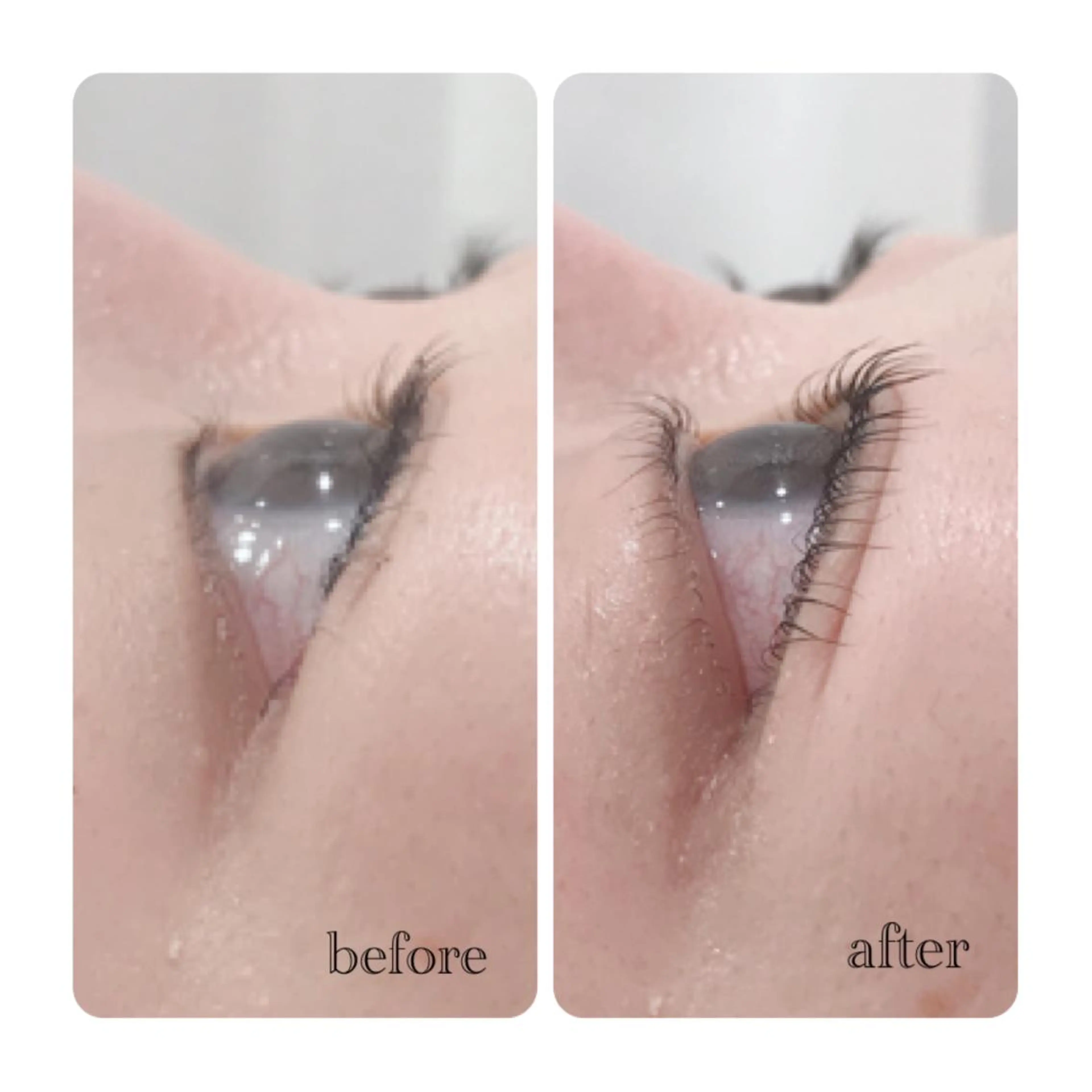 マツエク・マツパ マツパ ELLA 菊地のマツエク・マツパデザイン