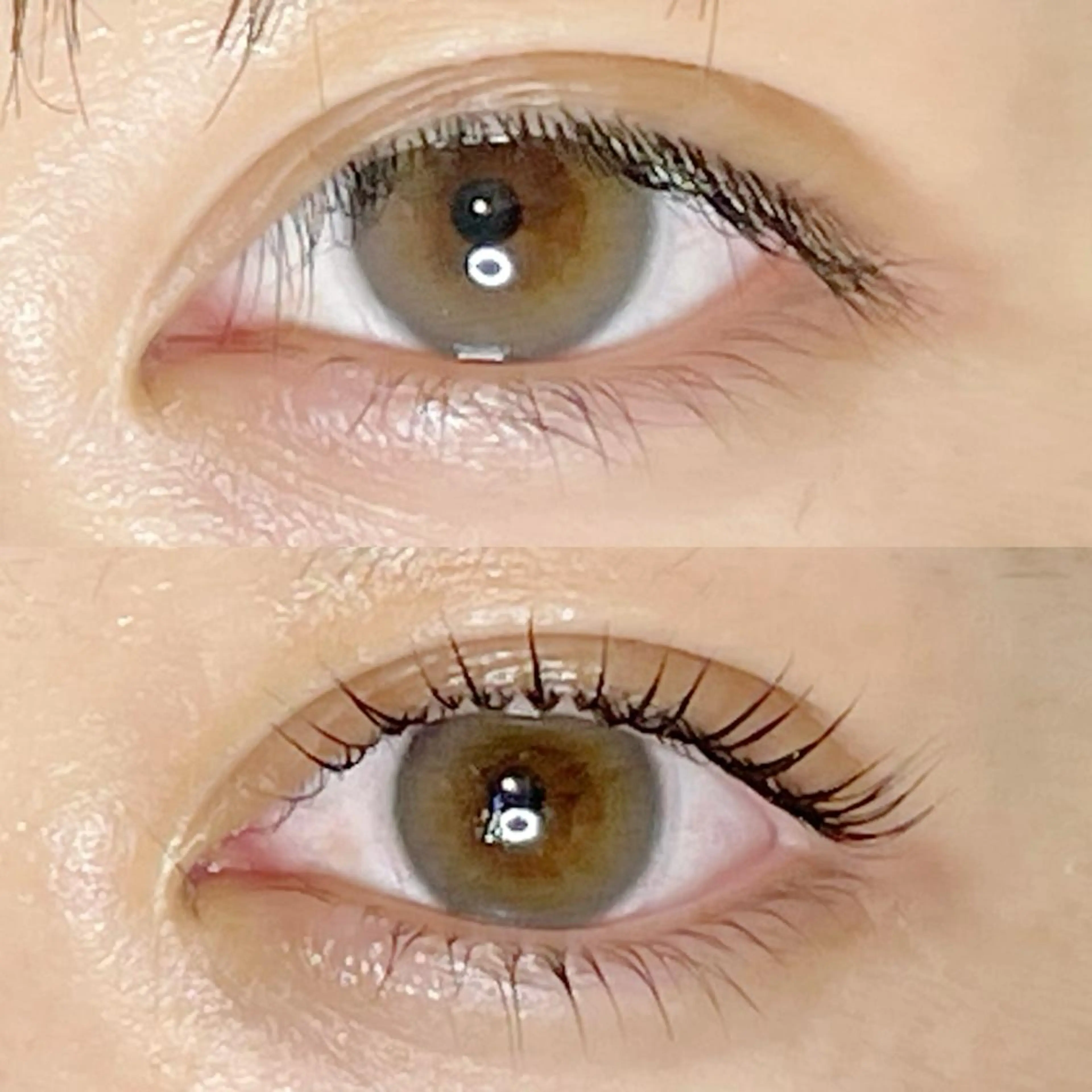 上下まつげパーマ✨の写真