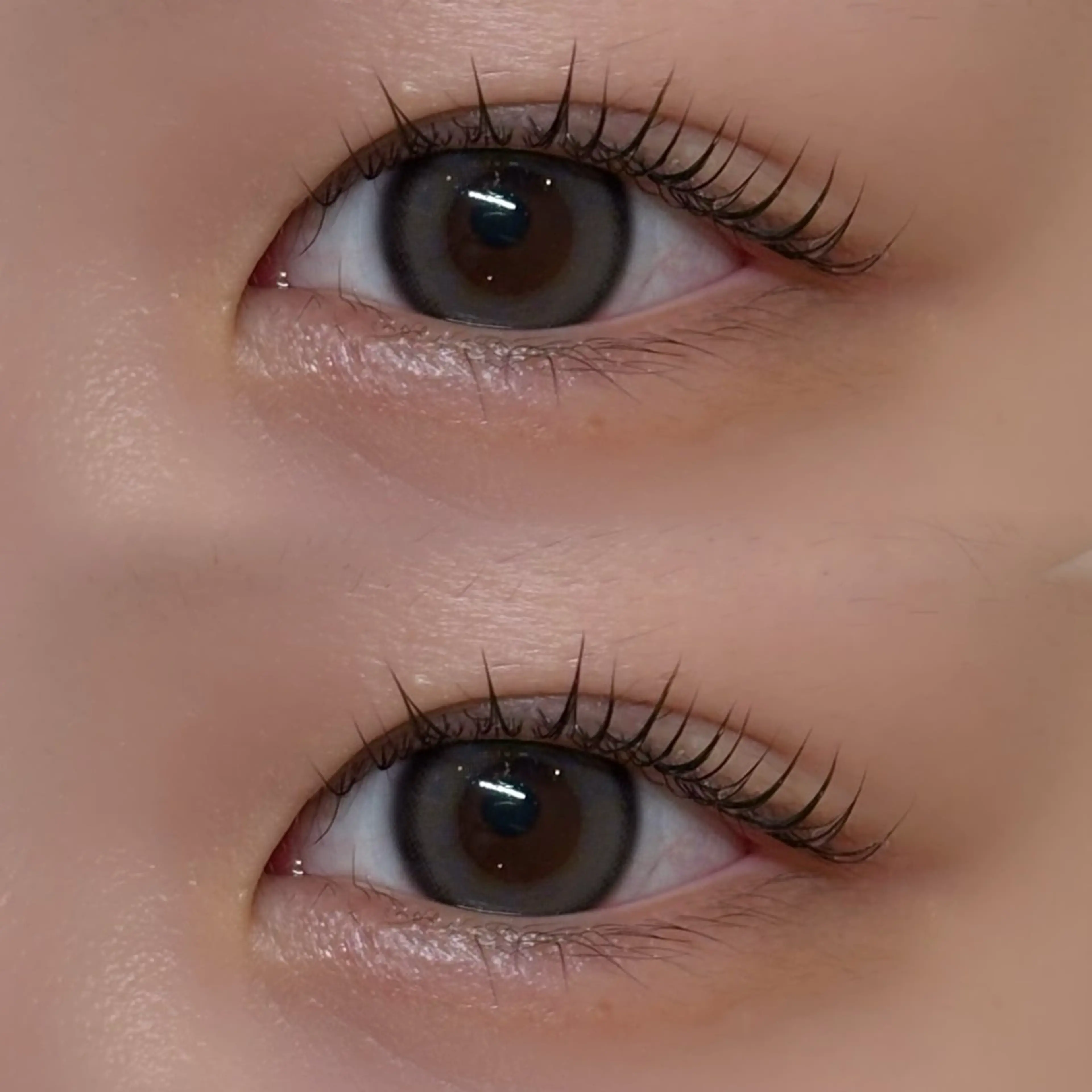 マツエク・マツパ miyu / sofa吉祥寺のマツエク・マツパデザイン