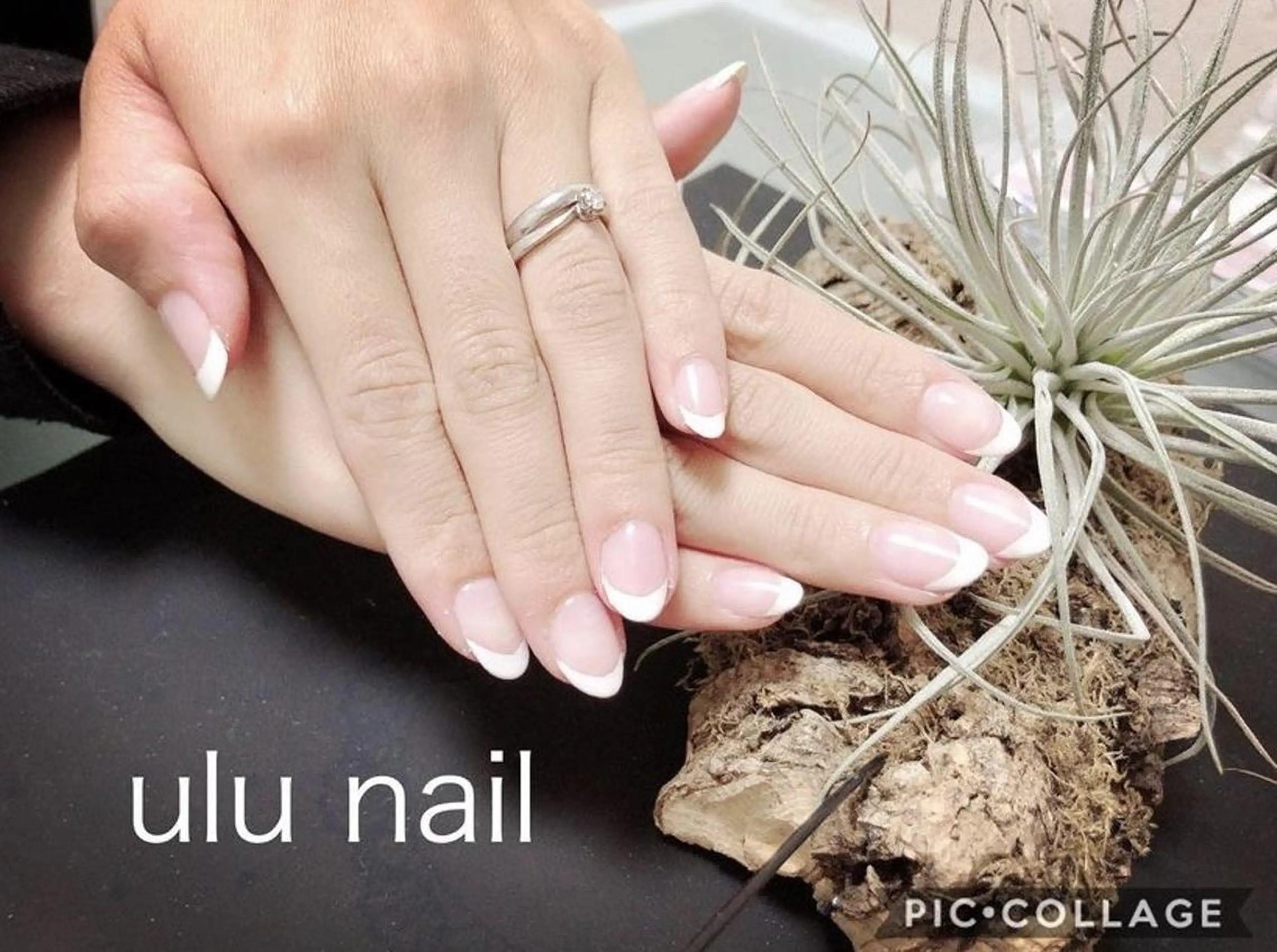 シンプルコース✨ワンカラー・フレンチ・グラデーション💅🌴の写真