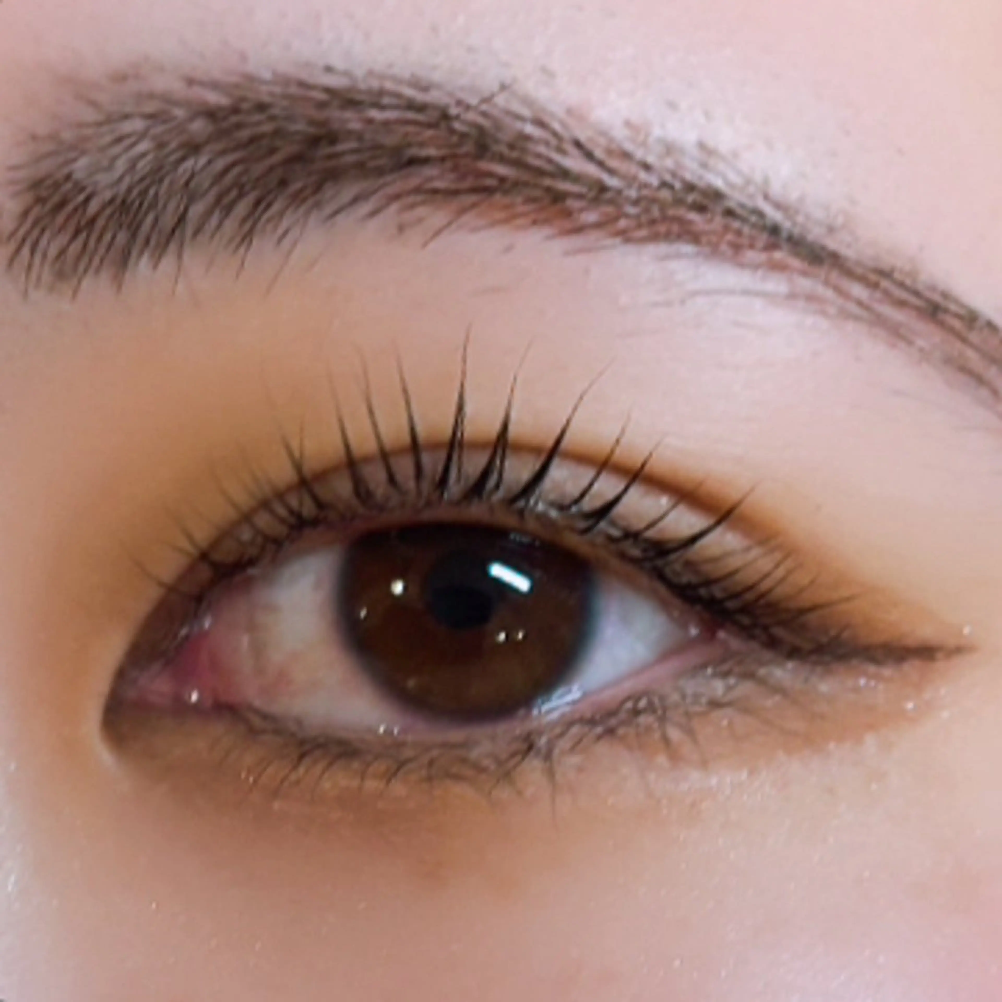 マツエク・マツパ jessica🪽 yoshida🩰のマツエク・マツパデザイン