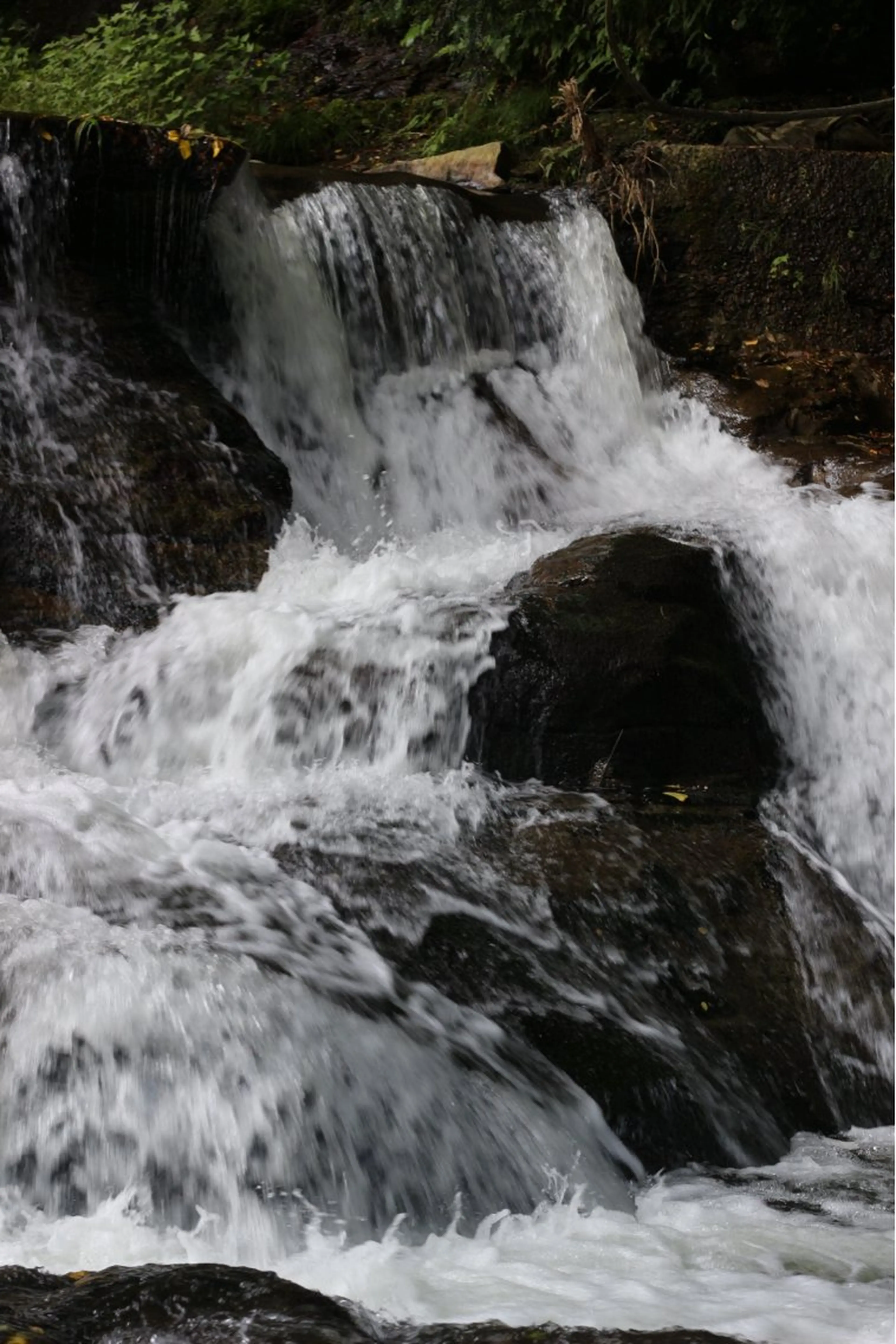 松本 晴琉のヘアスタイル