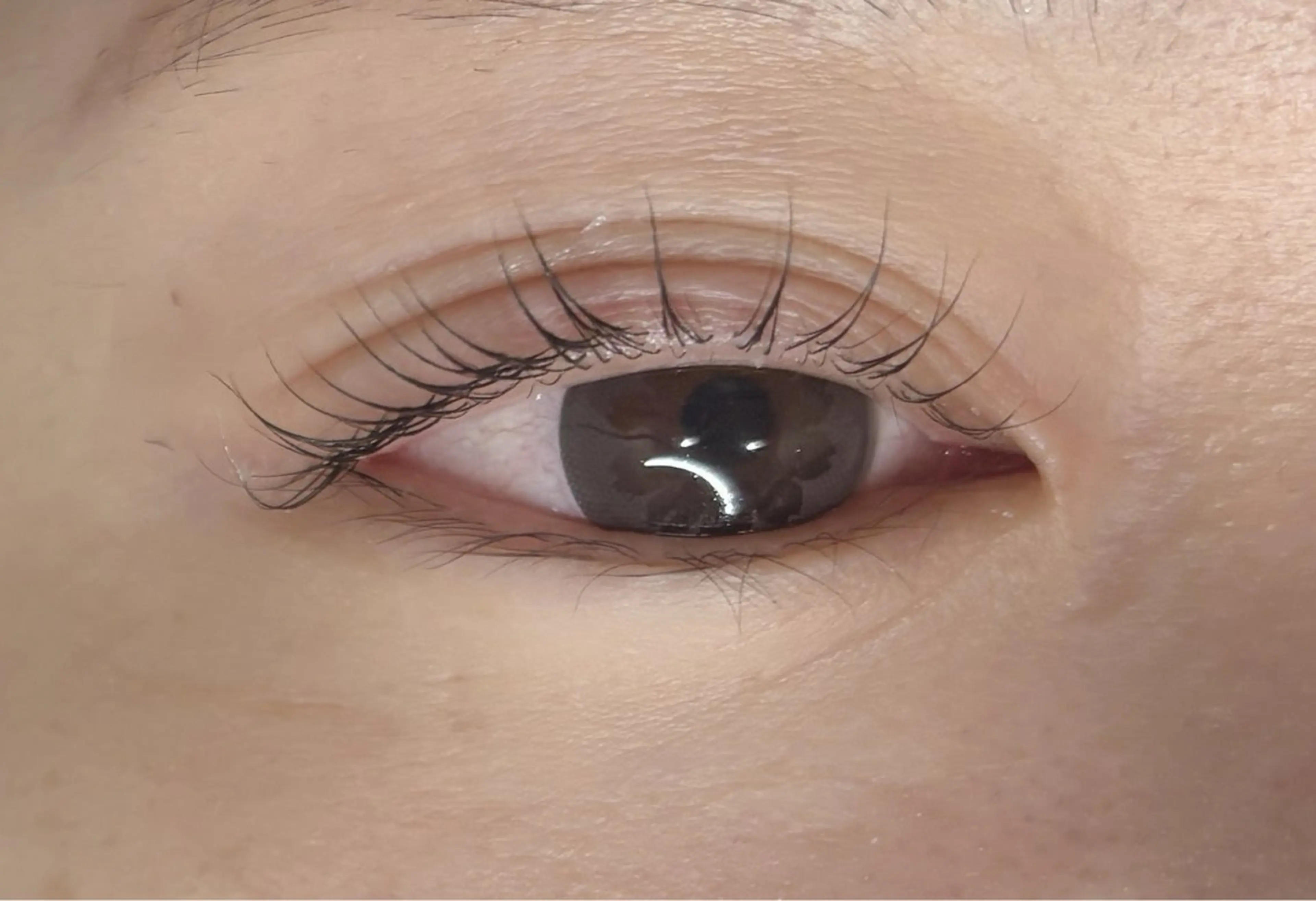 マツエク・マツパ EyeLash Salon Froh 大和店所属・Eyelash / YUZU🫧🌷のマツエク・マツパデザイン