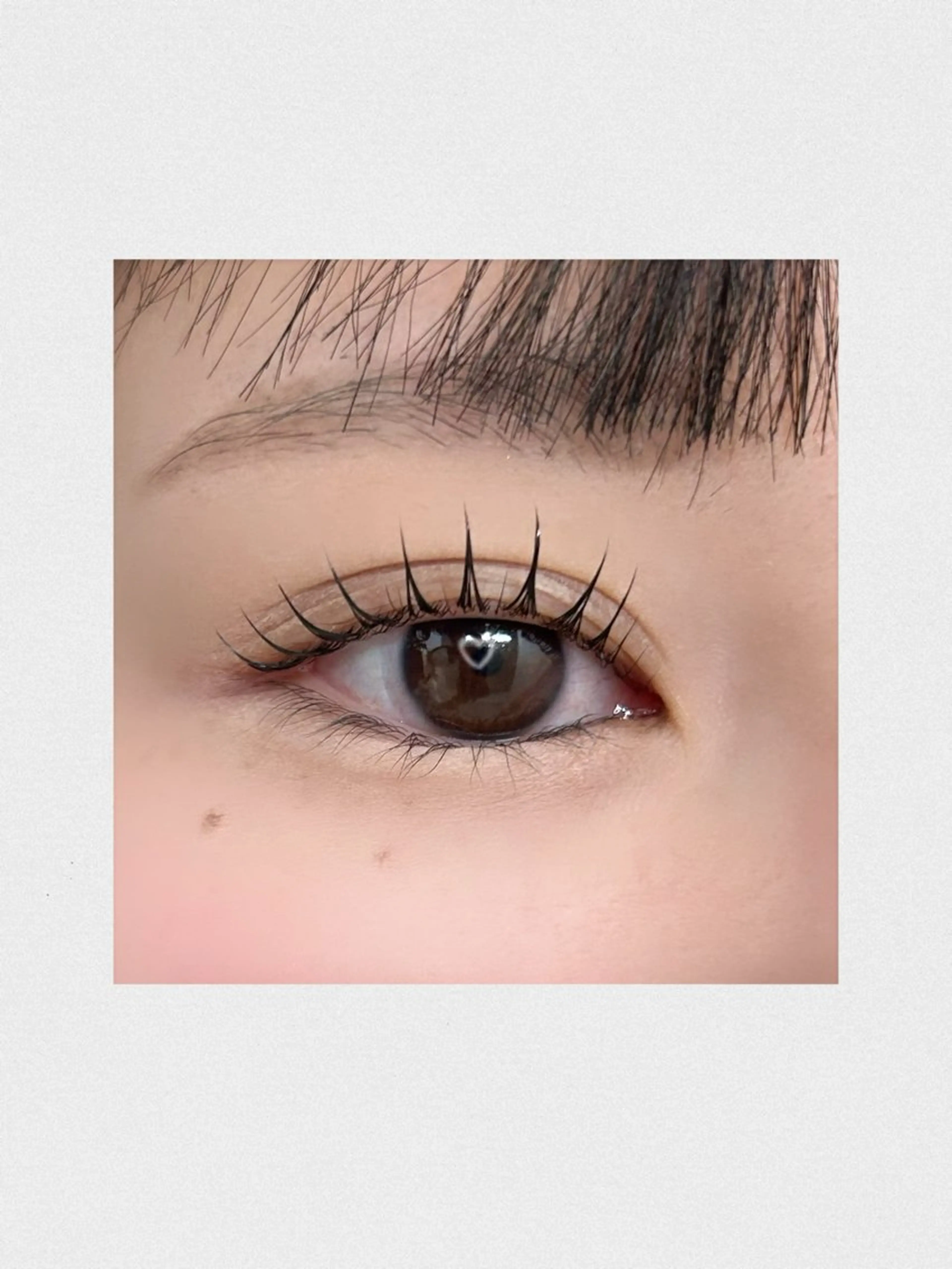 【13日来店限定❣️】 minimo限定価格✨まつげパーマ✨束感コーティング込みの写真