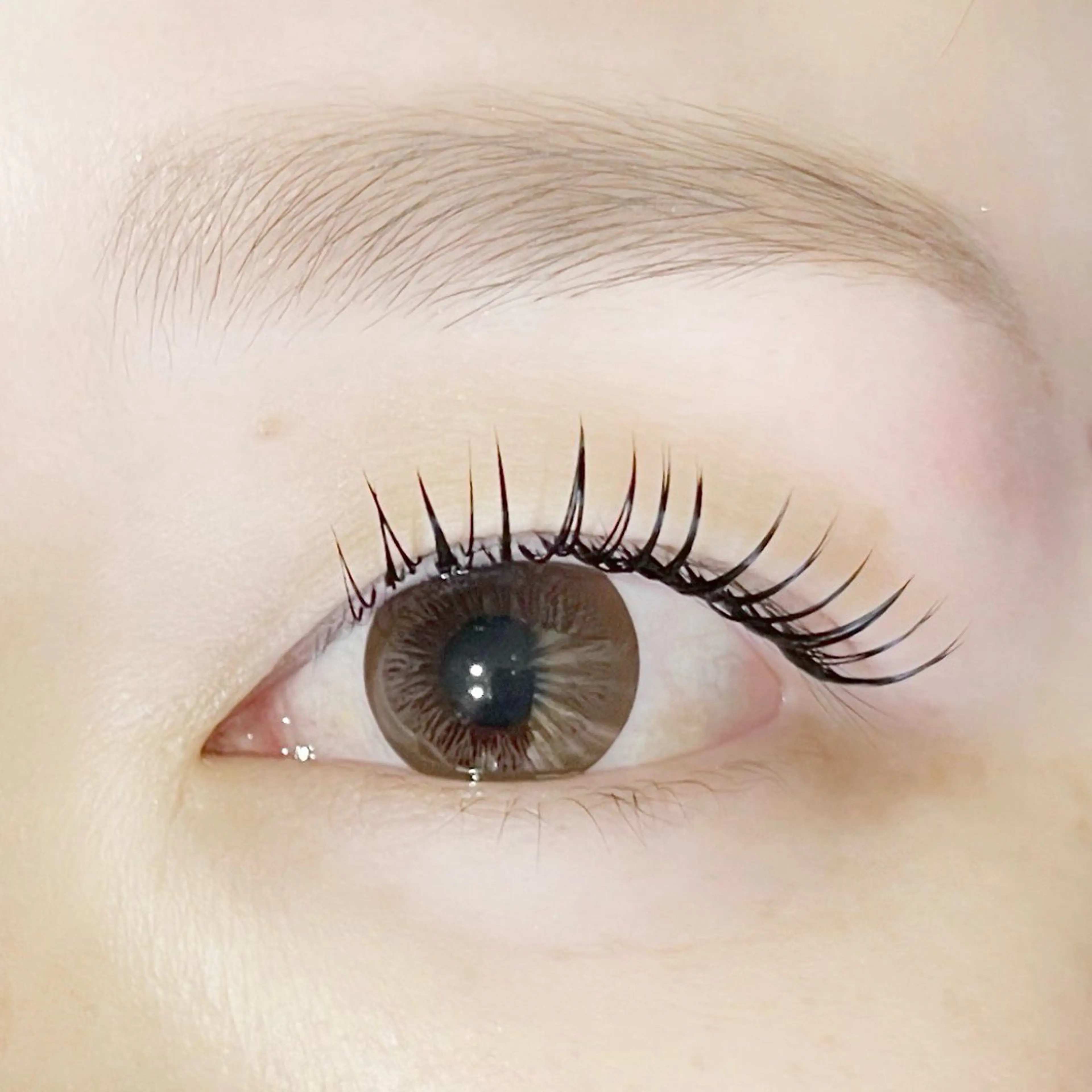 マツエクモデル フラット 100本の写真