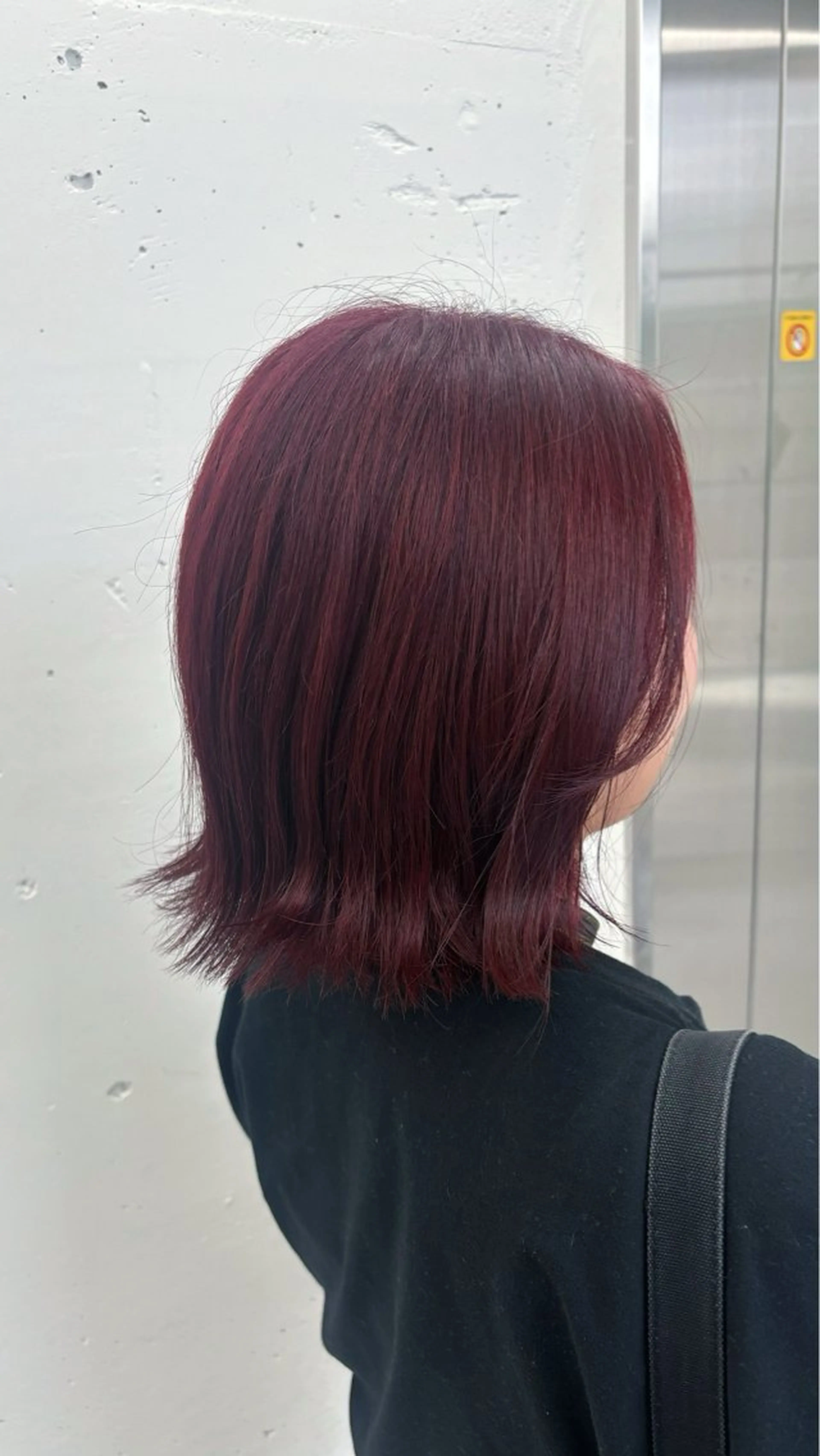 ミディアム 韓国風ヘア トリートメント ウルフカット 🐶ひかる🐶 JILLSTUDIOのヘアスタイル