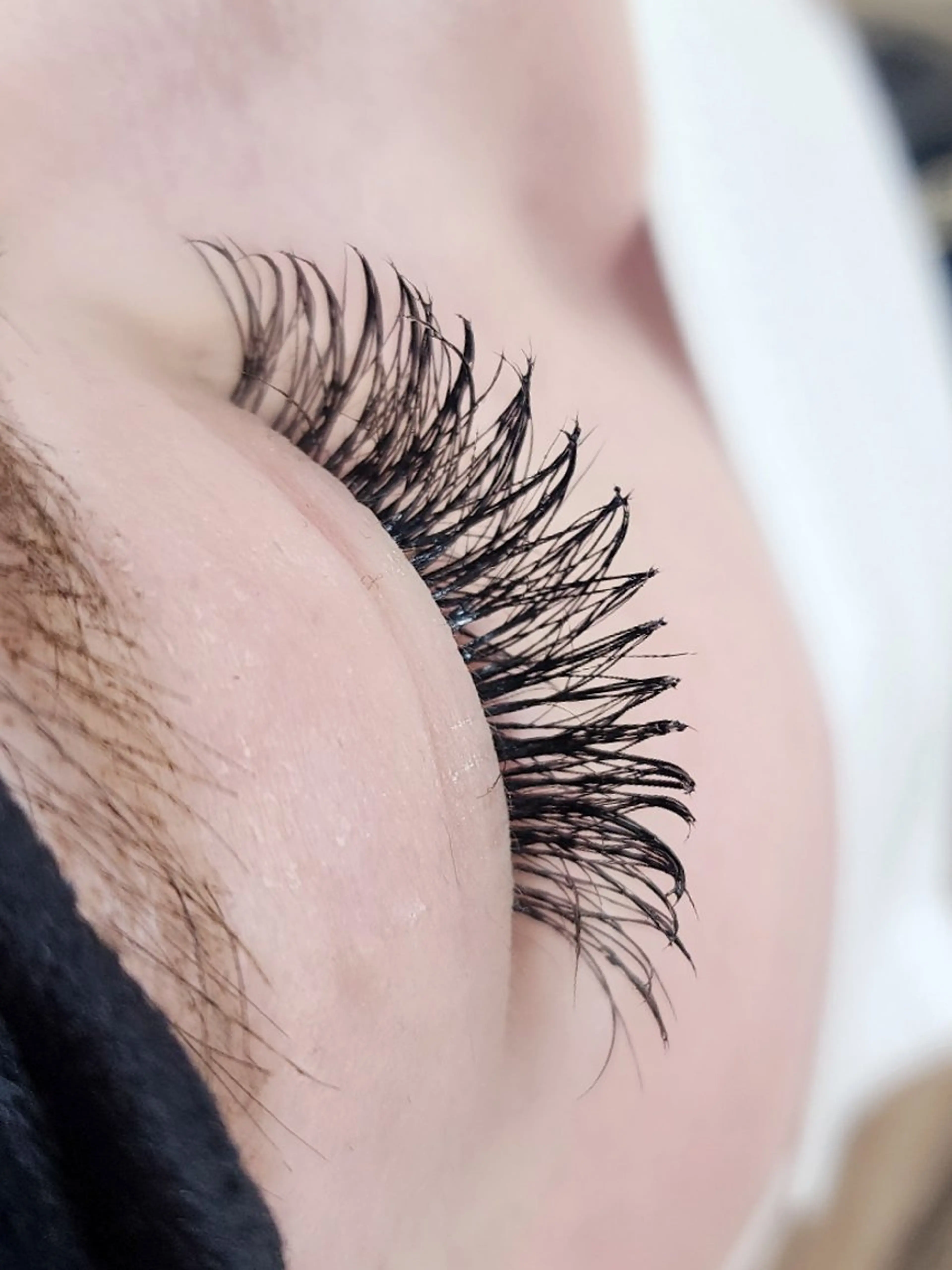 マツエク・マツパ 付け放題 バインドロック 束感まつ毛 カラーマツエク フラットラッシュ Ｍ salon アイラッシュのマツエク・マツパデザイン