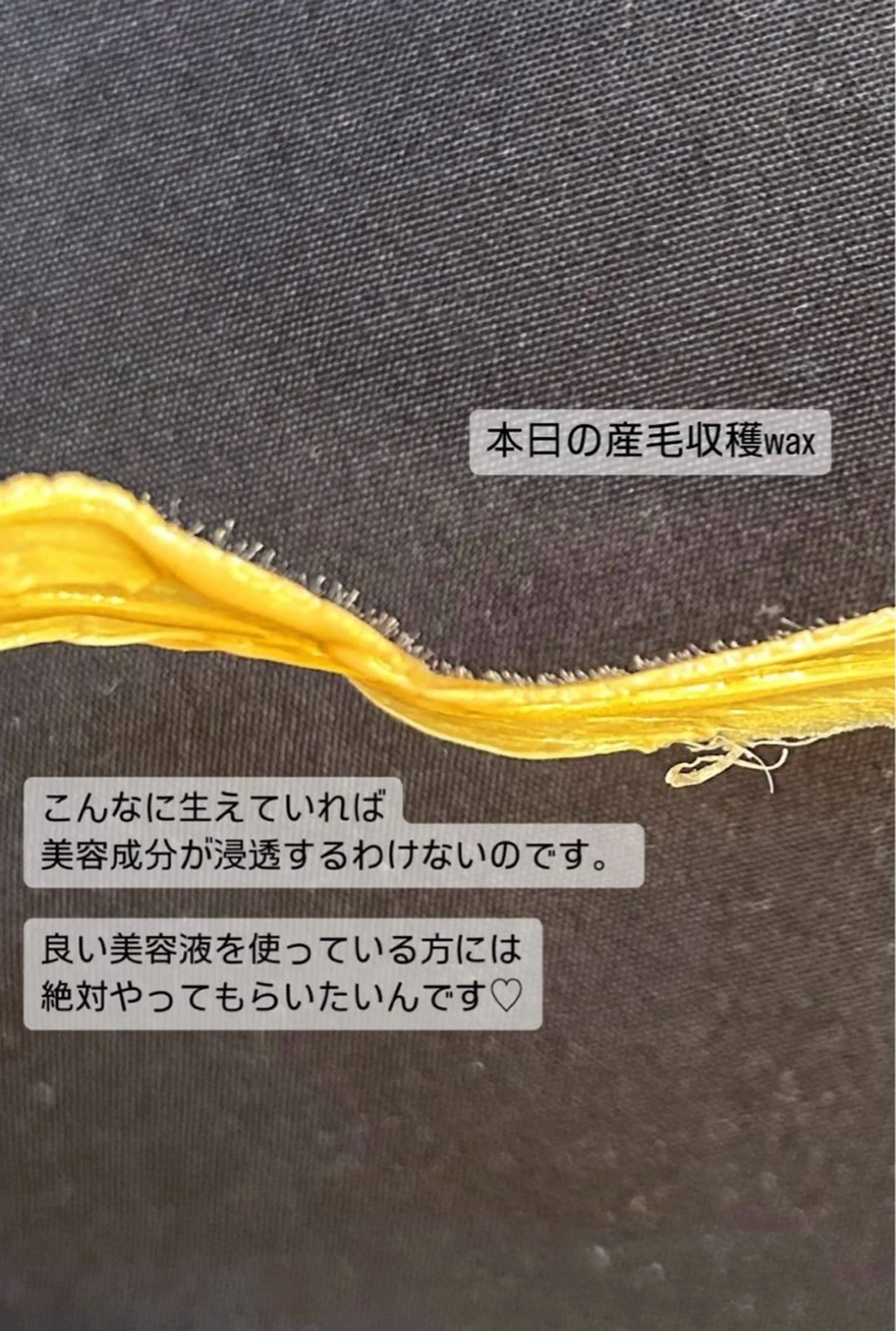 eyebrow enの眉毛・アイブロウイメージ