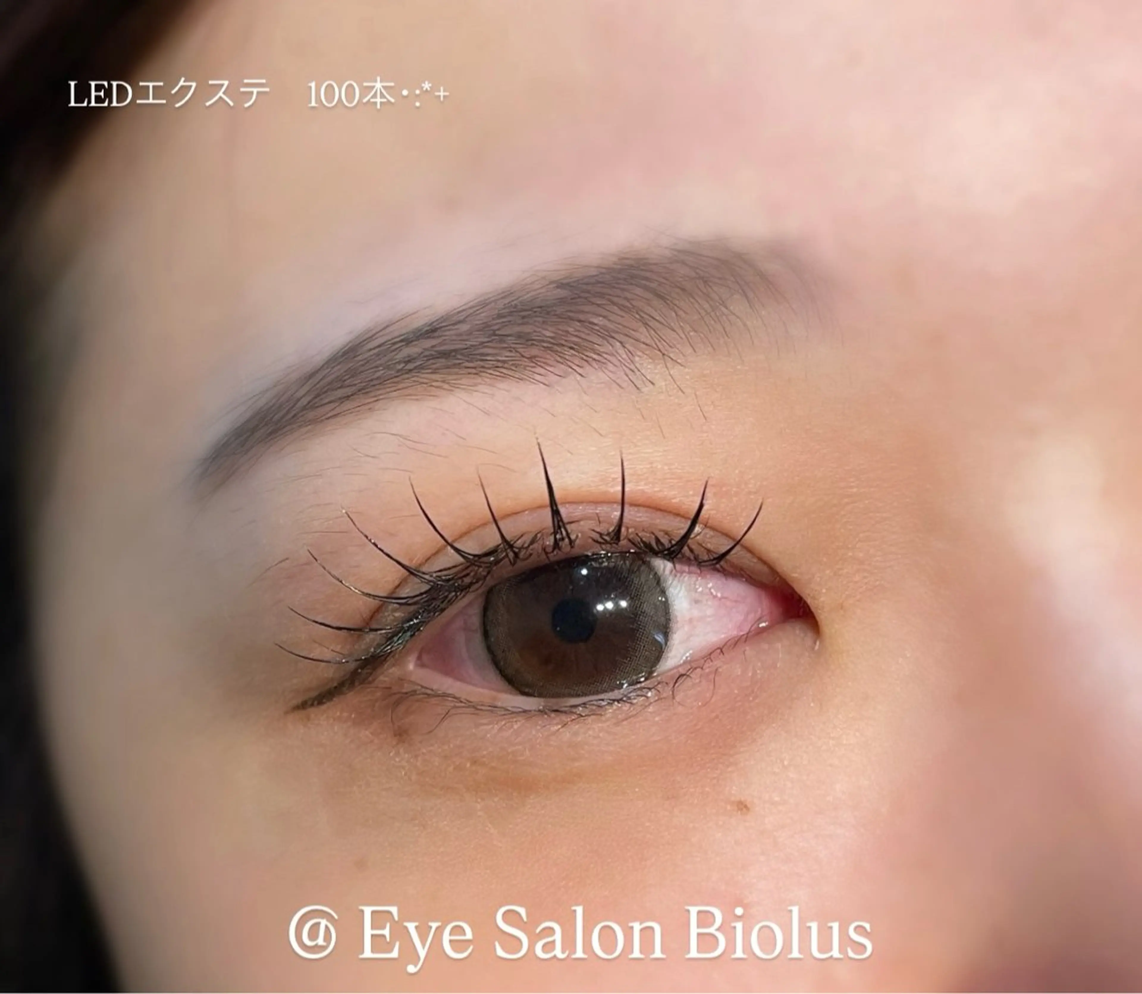 マツエク・マツパ Biolus/天王寺 2号店🌼Arisaのマツエク・マツパデザイン