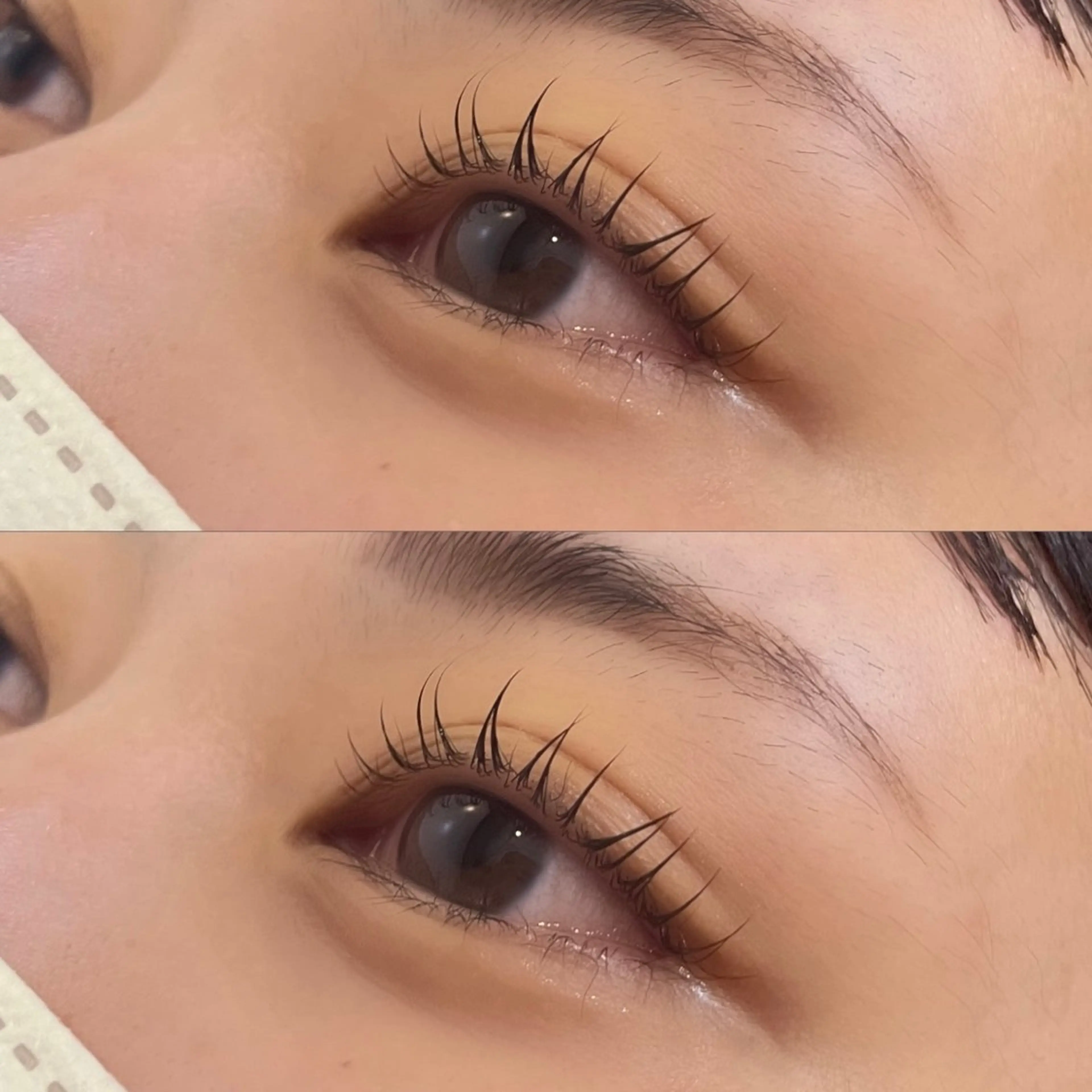 マツエク・マツパ マツパ 暖色カラー / minoriのヘアスタイル